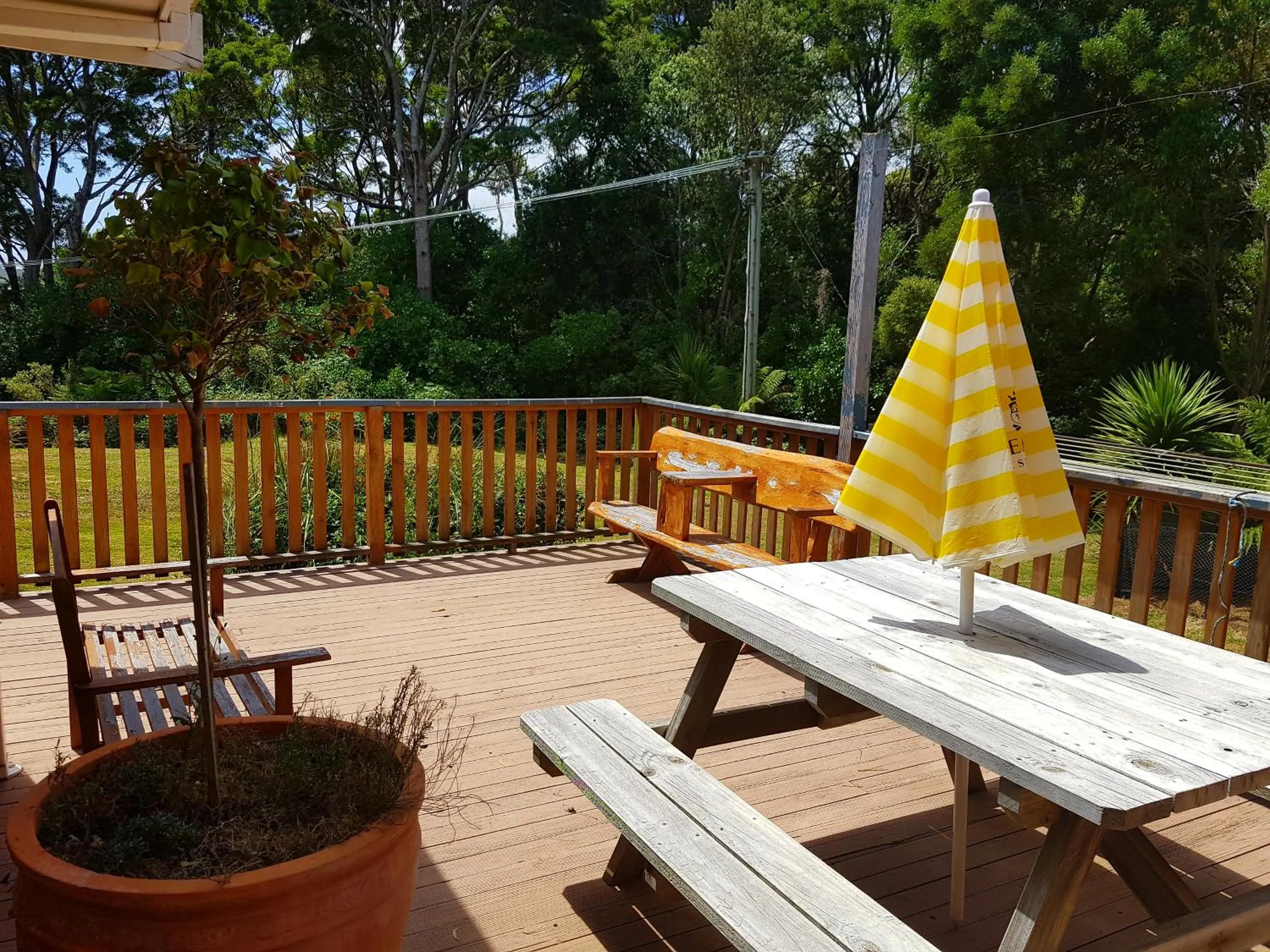 Patio in Regatta Point Tavern & Holiday Villas
