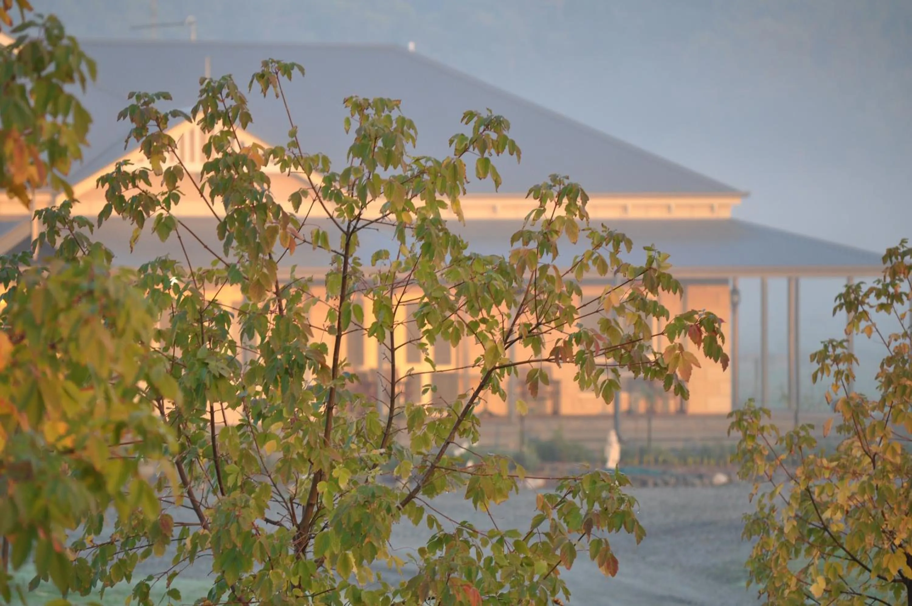 Property building in Tallawarra Homestead