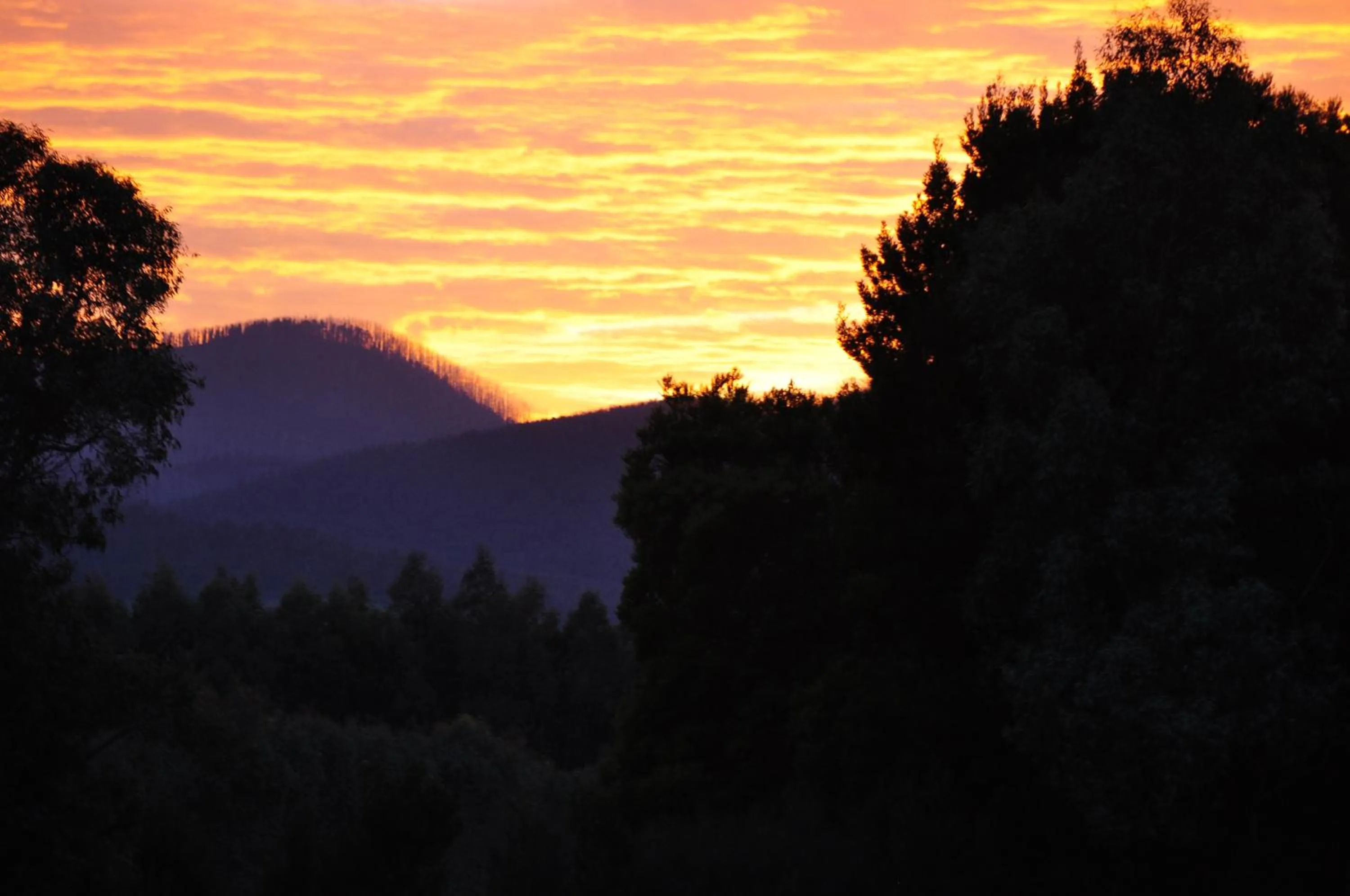 Natural landscape in Tallawarra Homestead