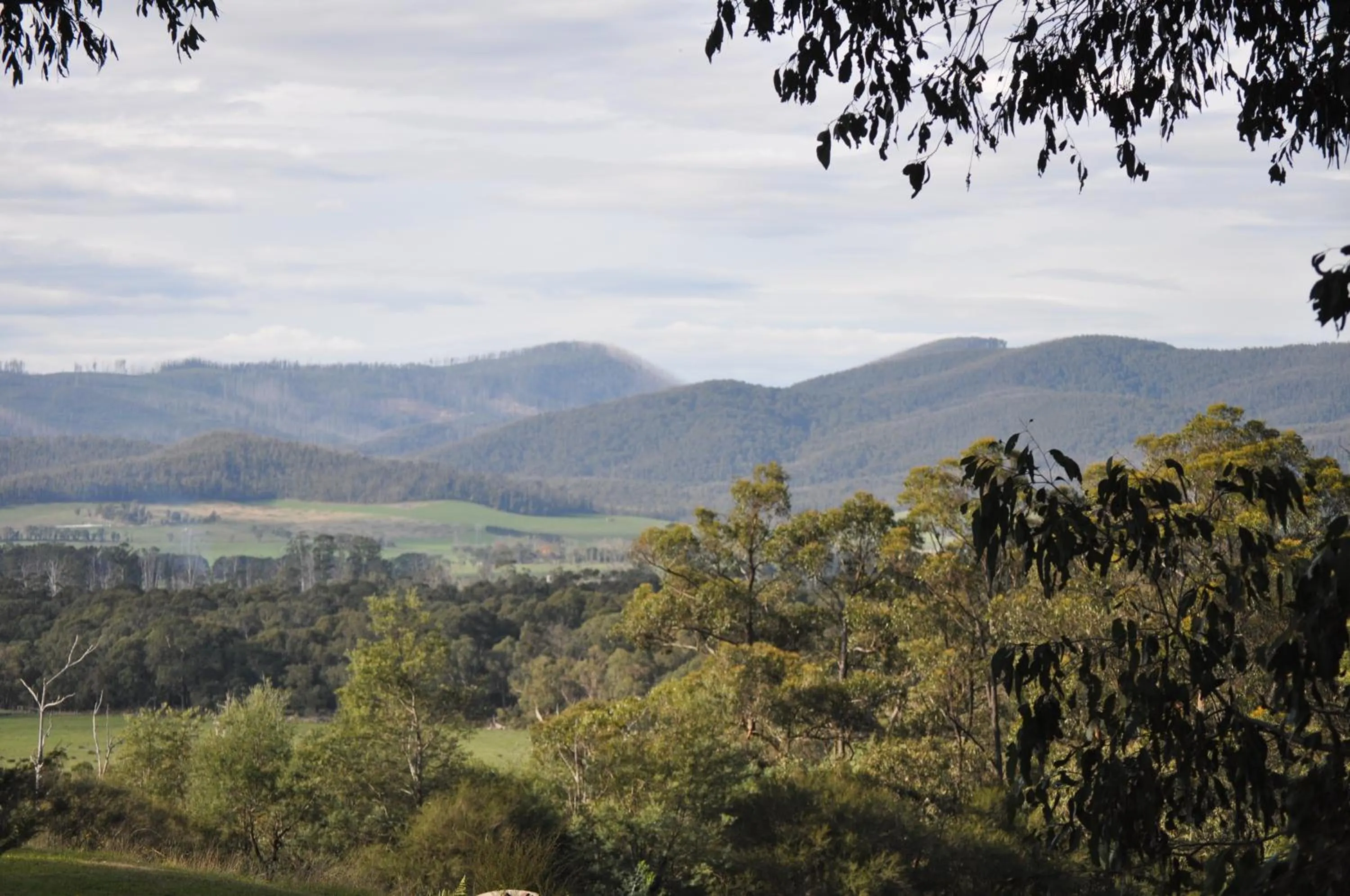 Tallawarra Homestead