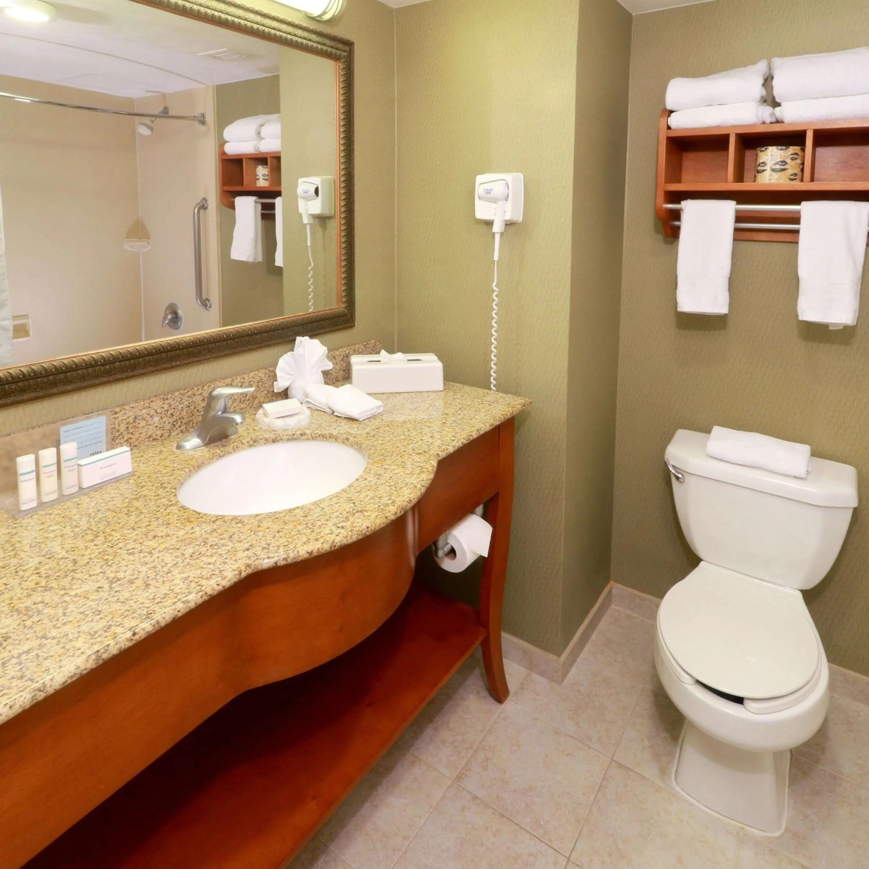 Toilet in Hampton by Hilton Reynosa Zona Industrial