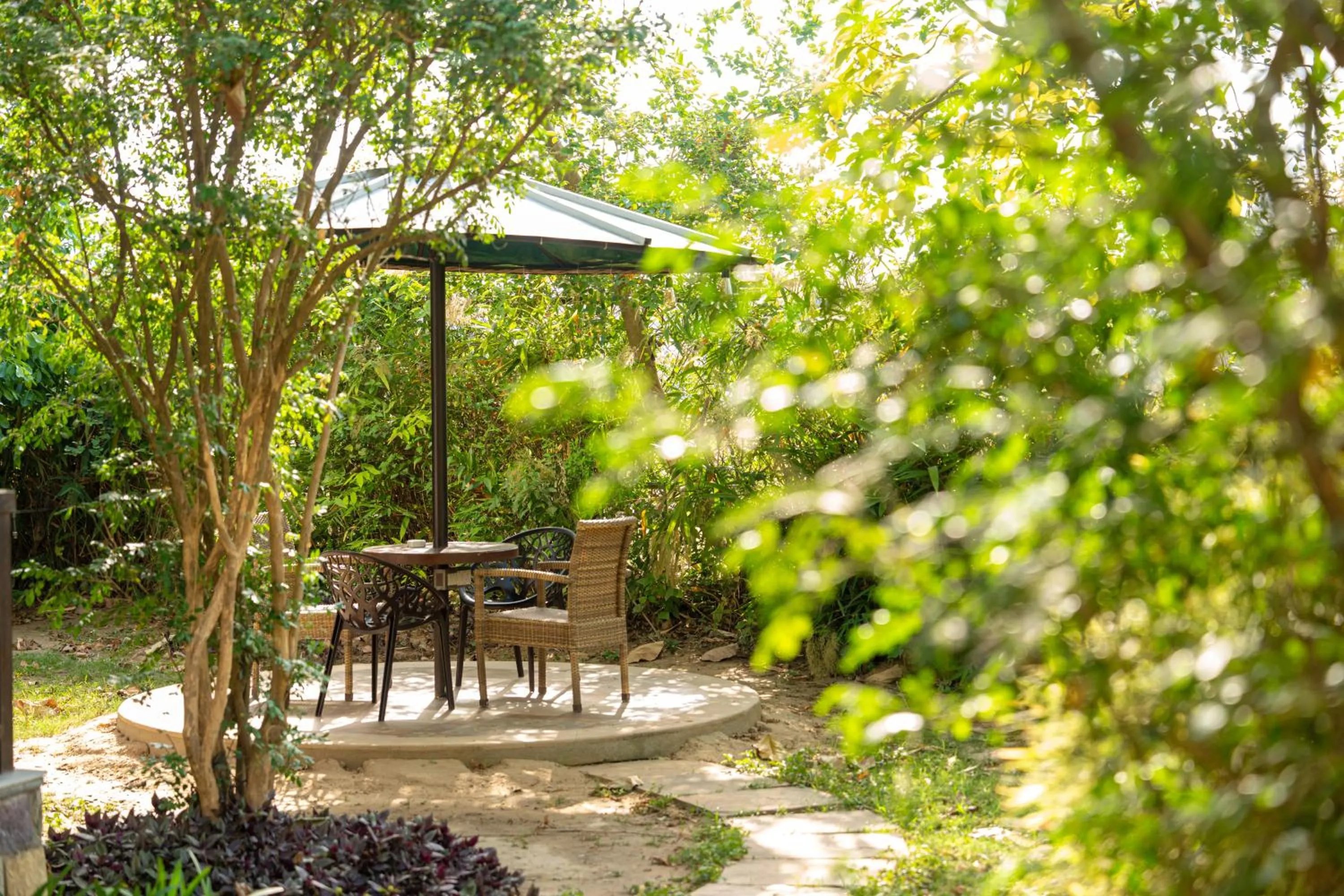 Natural landscape in Aahana Resort - Jim Corbett