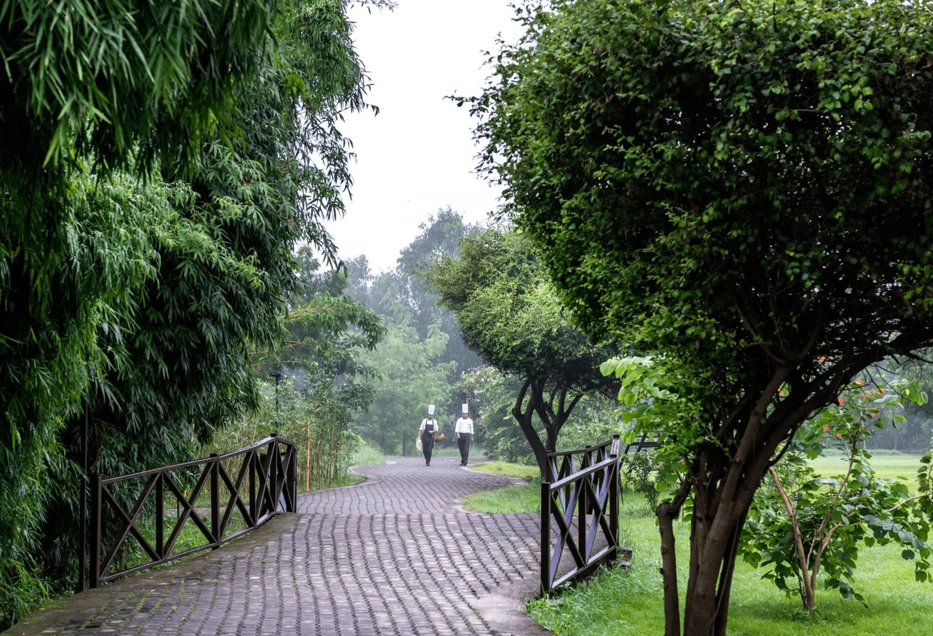 Garden in Aahana Resort - Jim Corbett