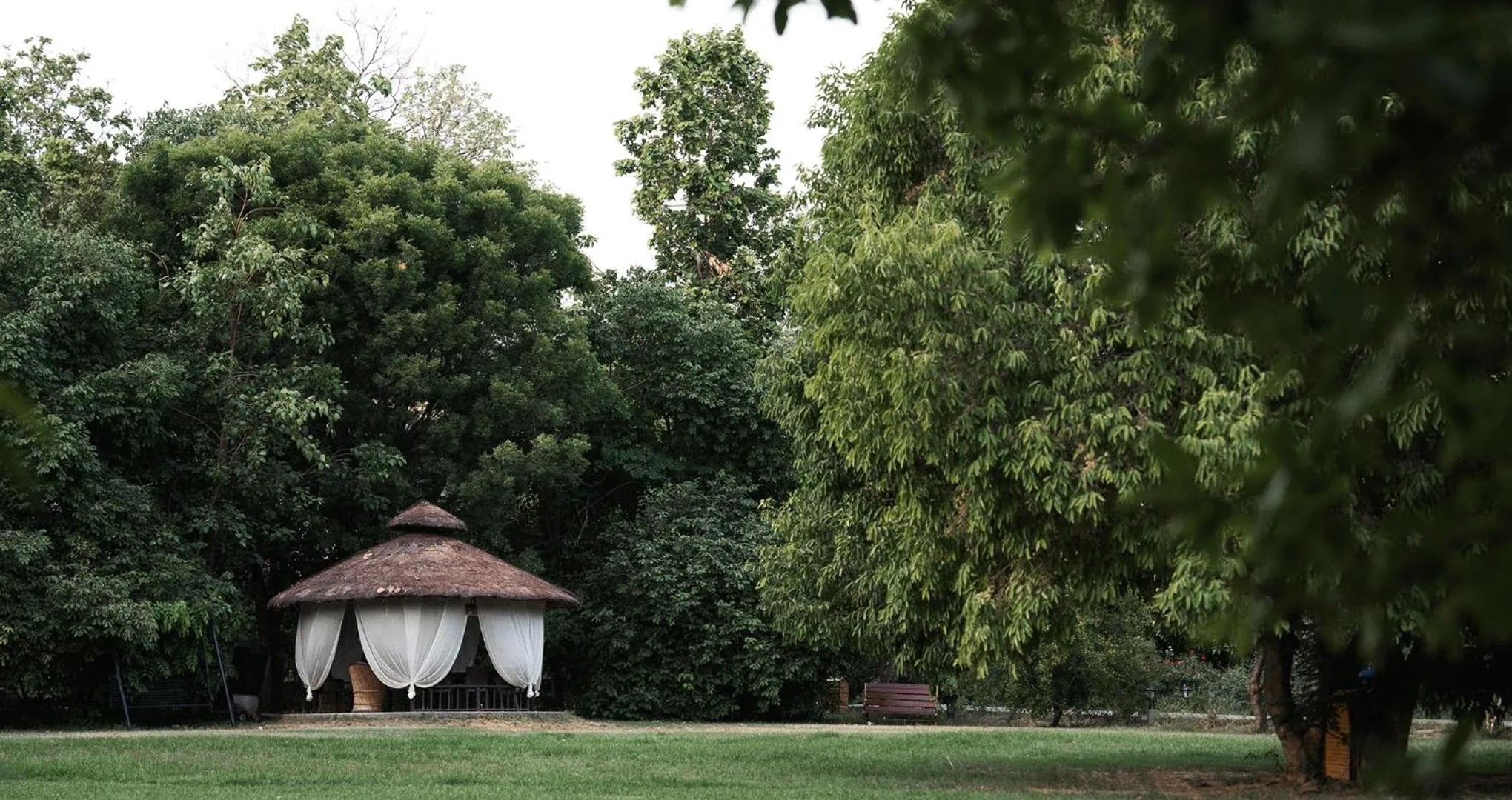 Garden in Aahana Resort - Jim Corbett