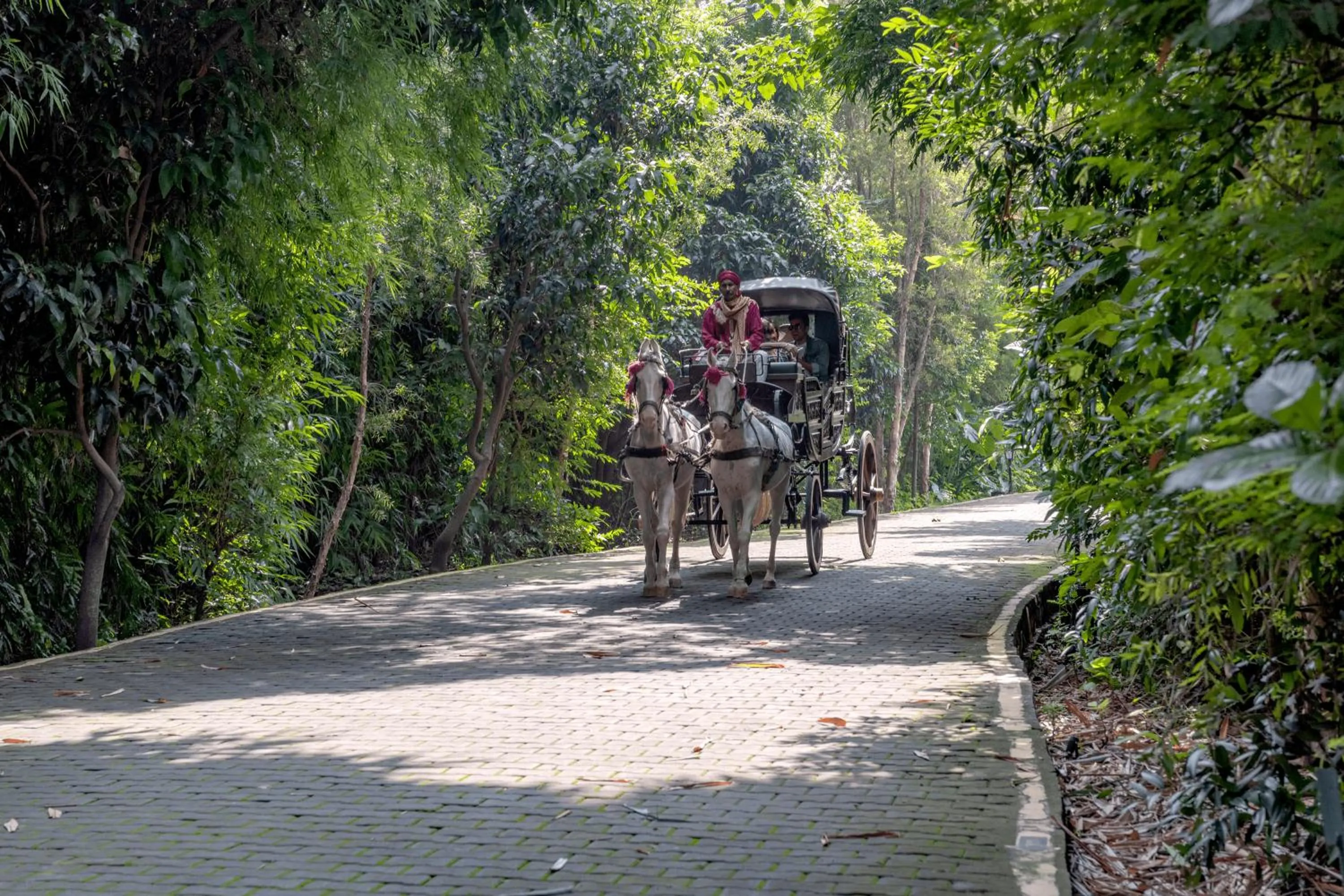 Activities in Aahana Resort - Jim Corbett