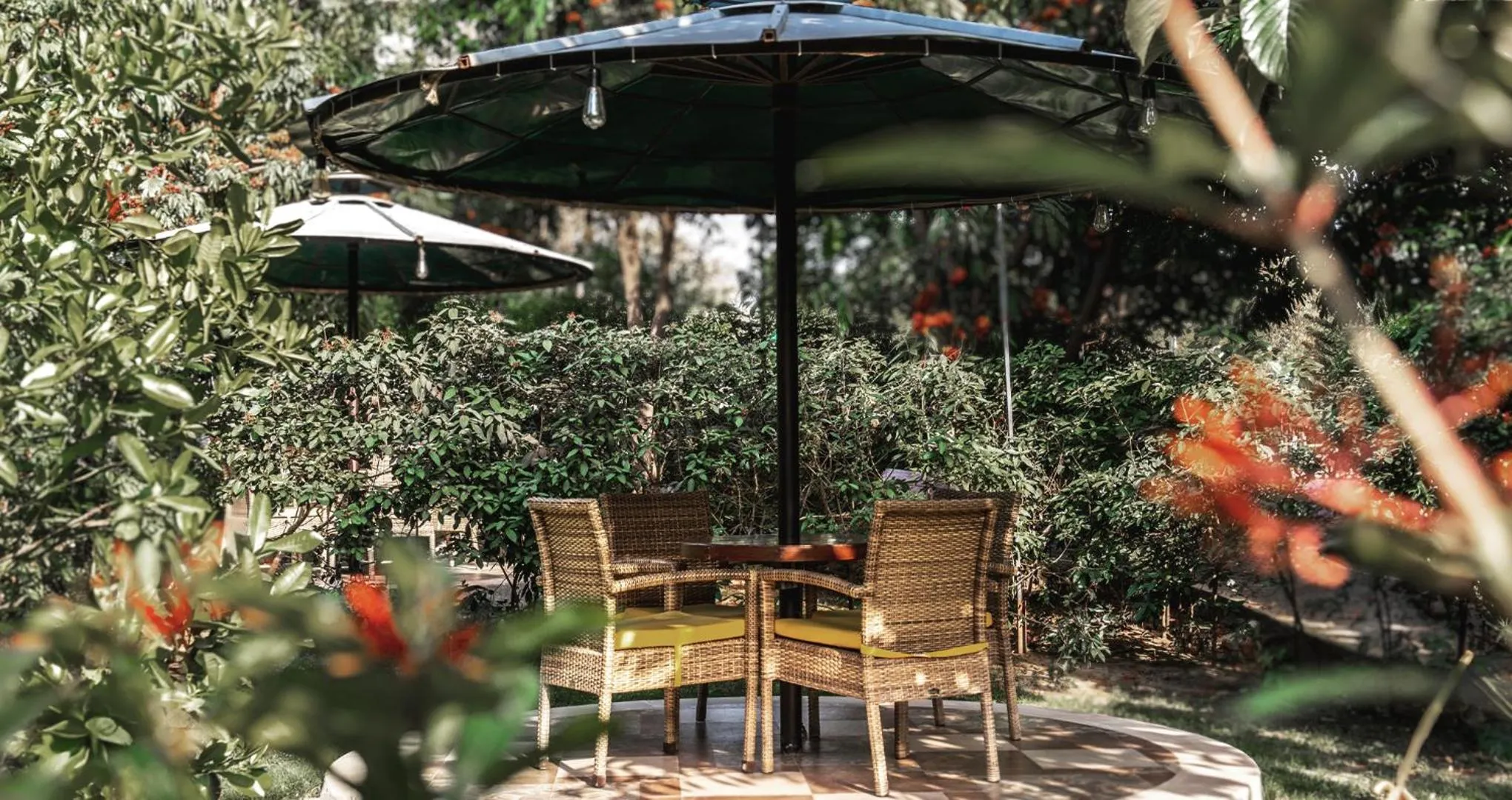 Other in Aahana Resort - Jim Corbett