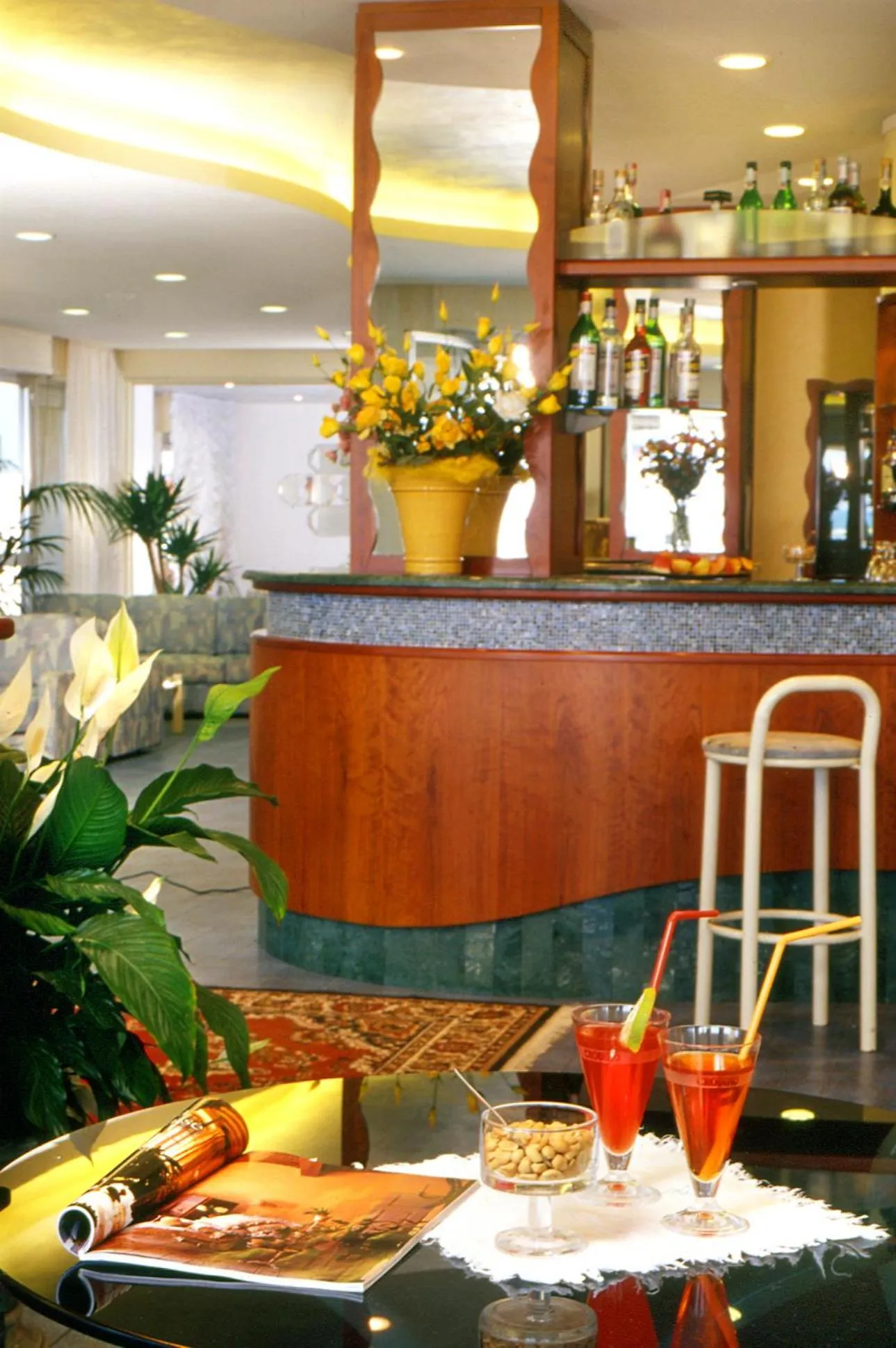 Lounge or bar in Hotel Foschi-Peninsula