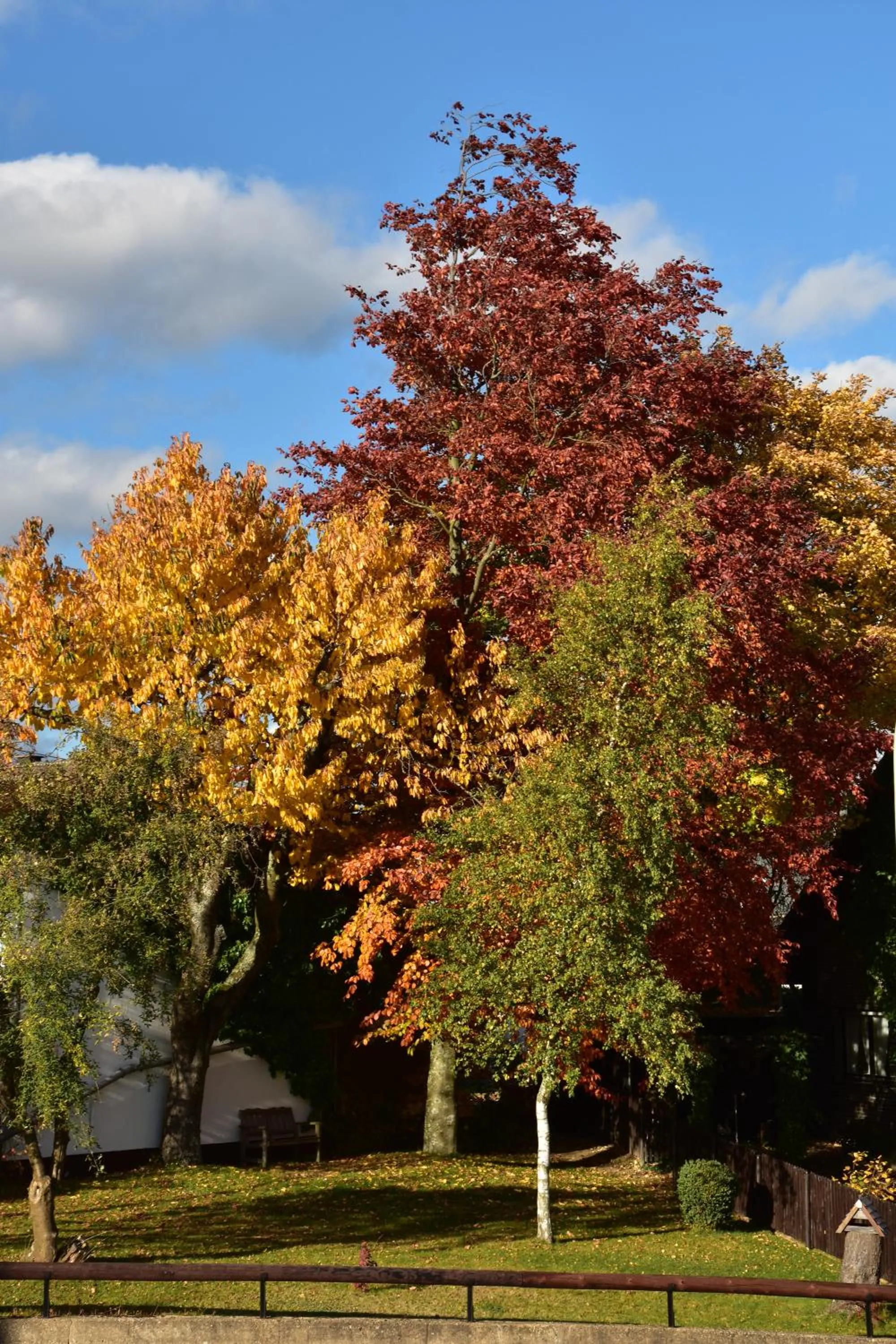 City view in Hotel Haus Seeblick