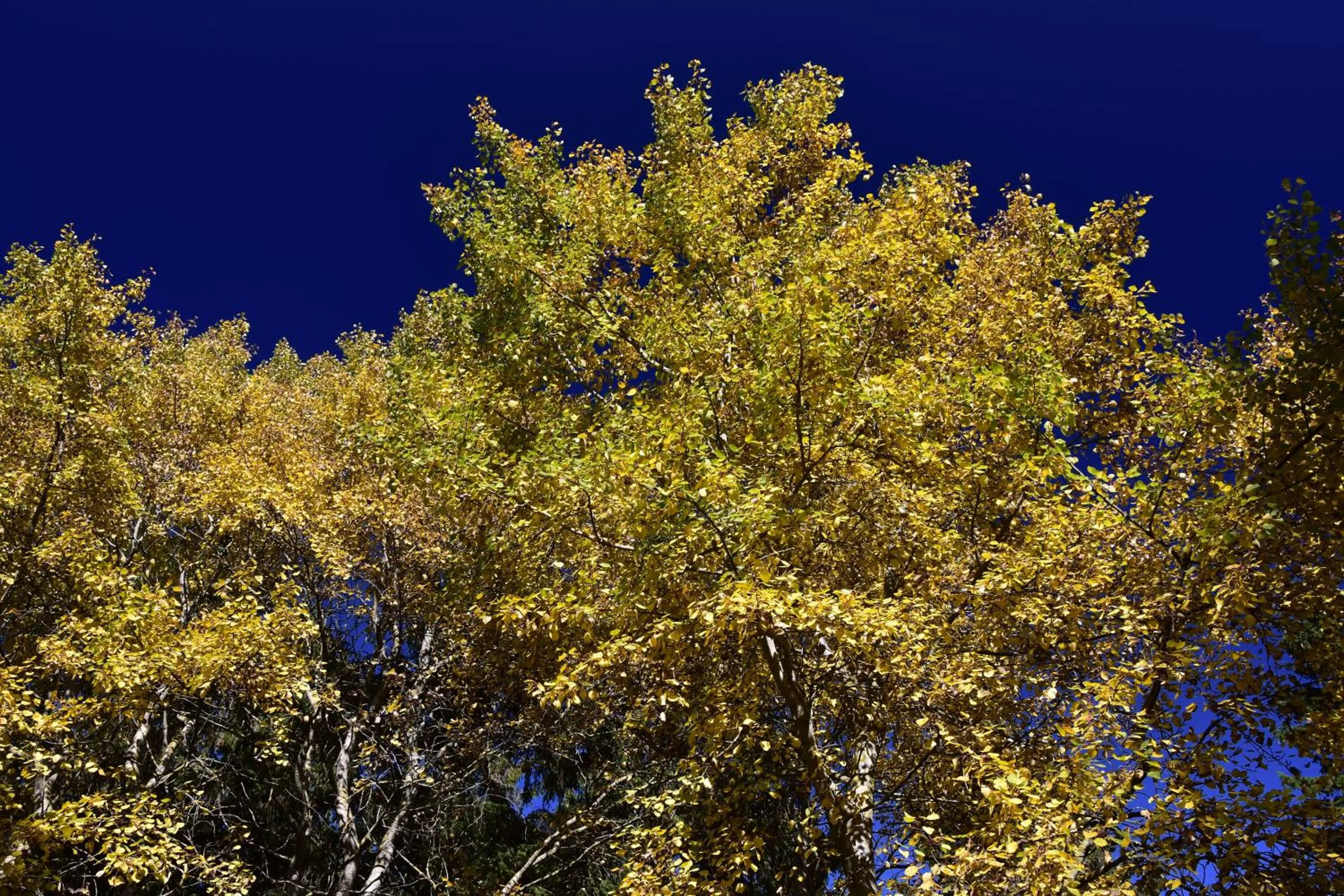 Natural landscape in Hotel Haus Seeblick