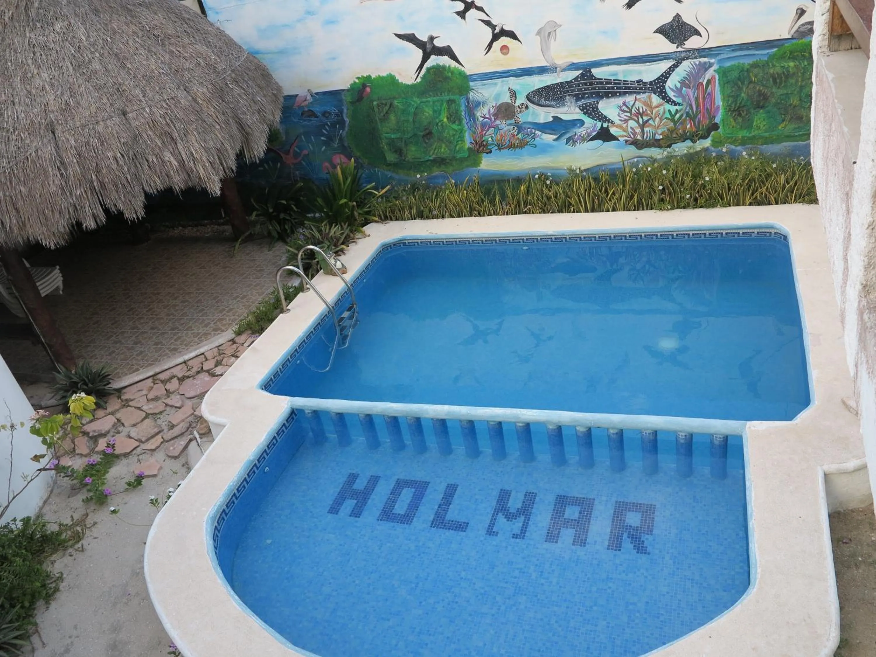 Swimming pool in Hotel Holmar