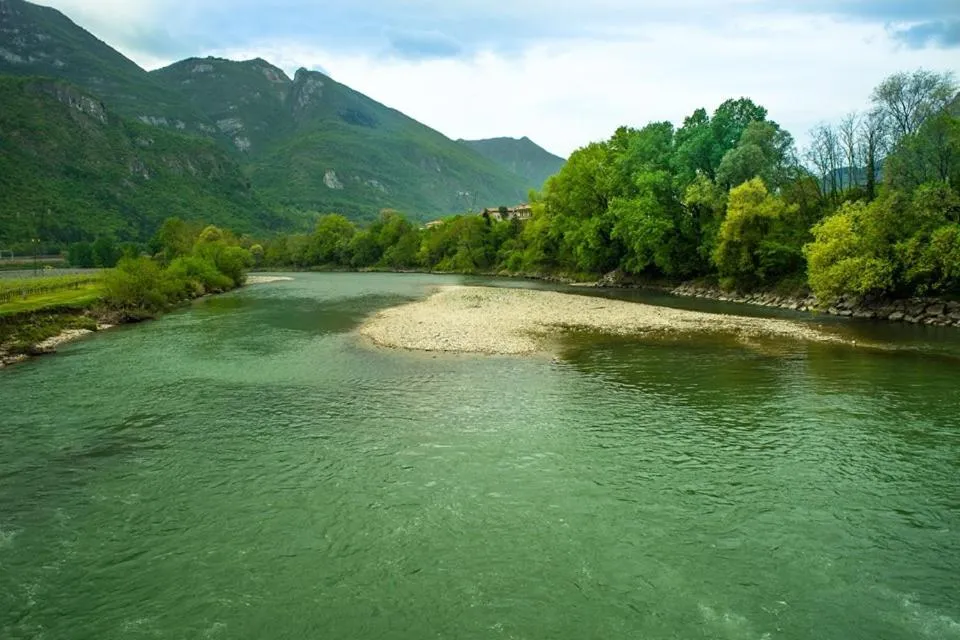 Restaurant/places to eat in Albergo Olivo