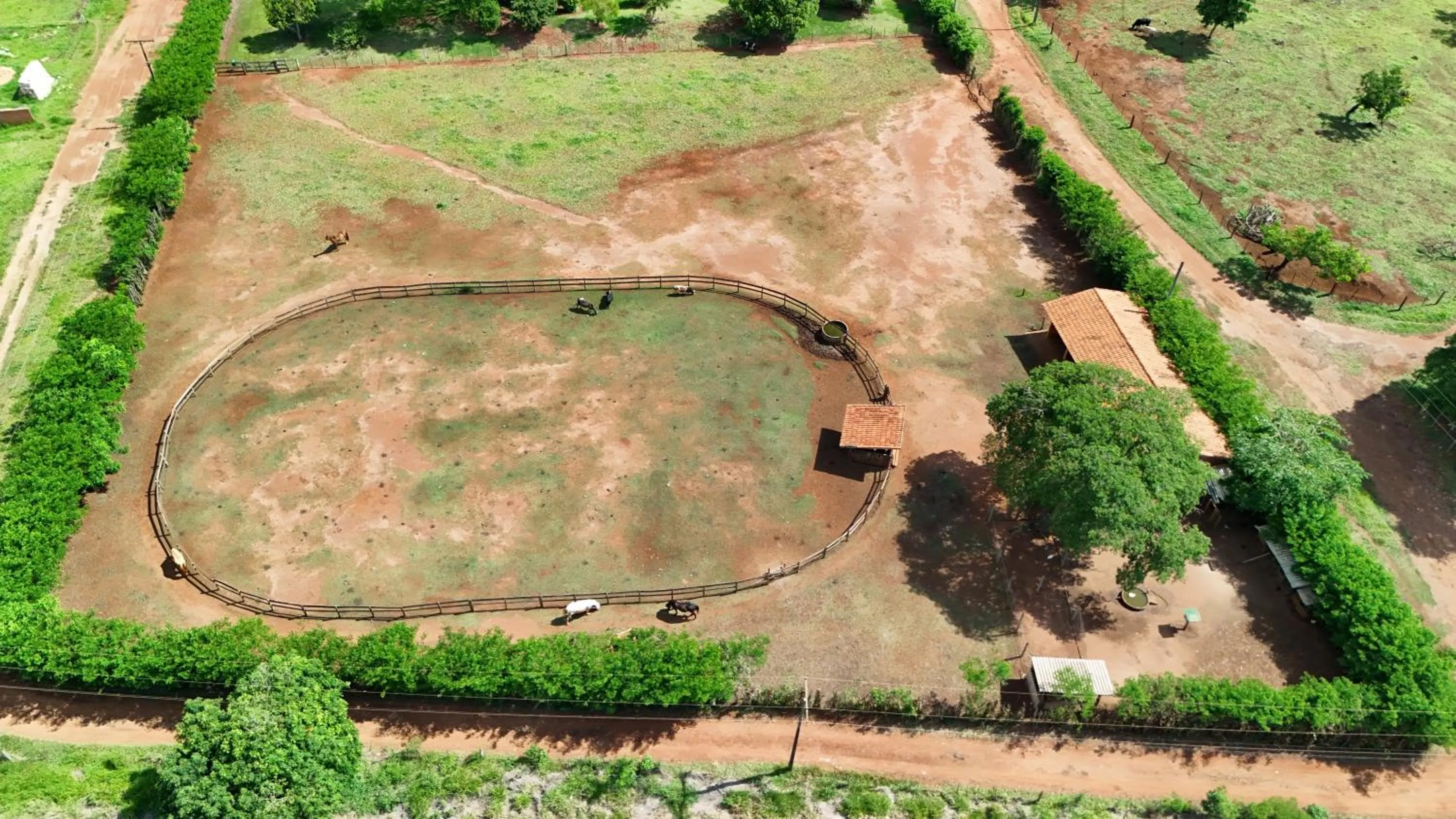 Day in Hotel Berro D`Agua Eco Resort