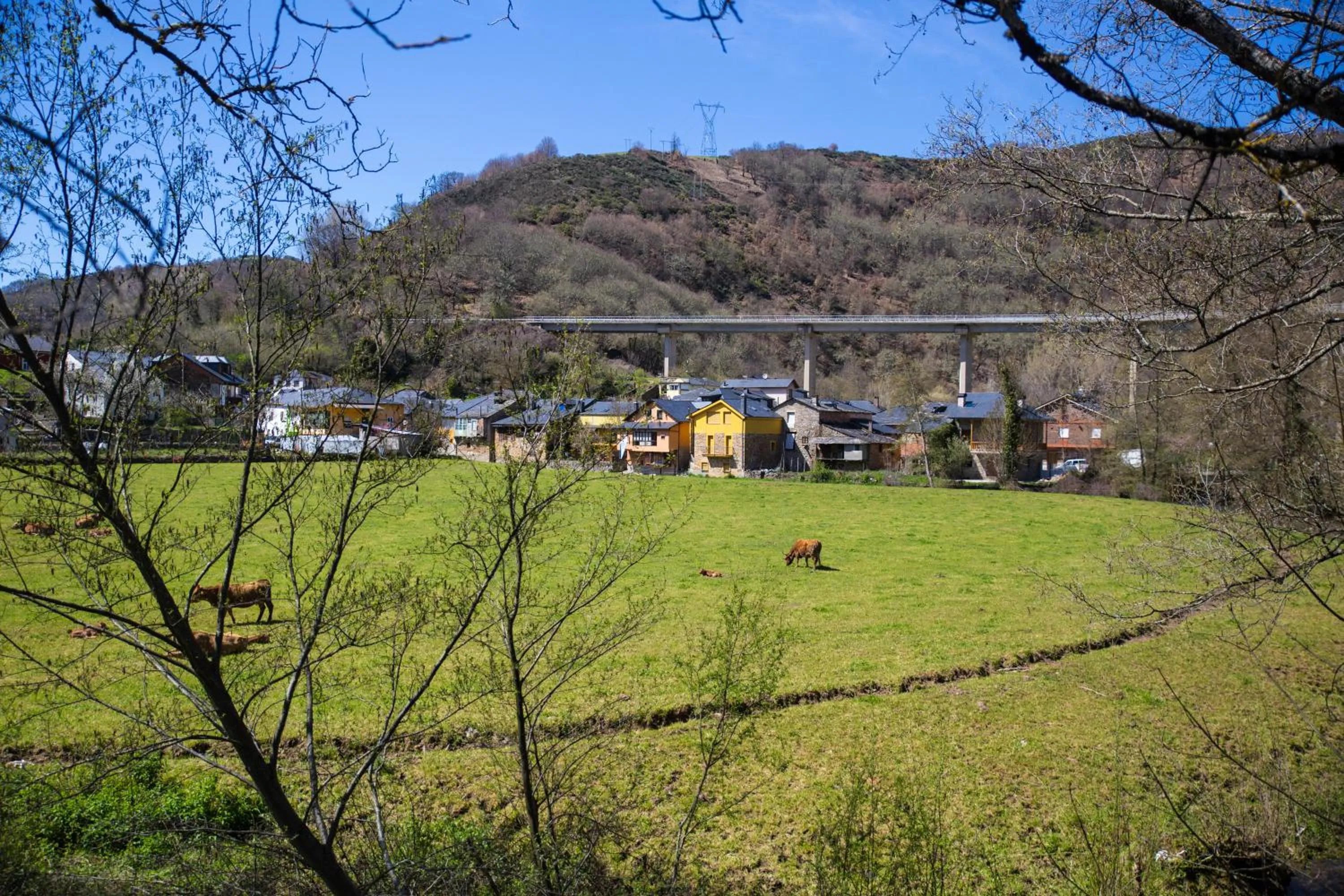 Off site in Hotel Ambasmestas