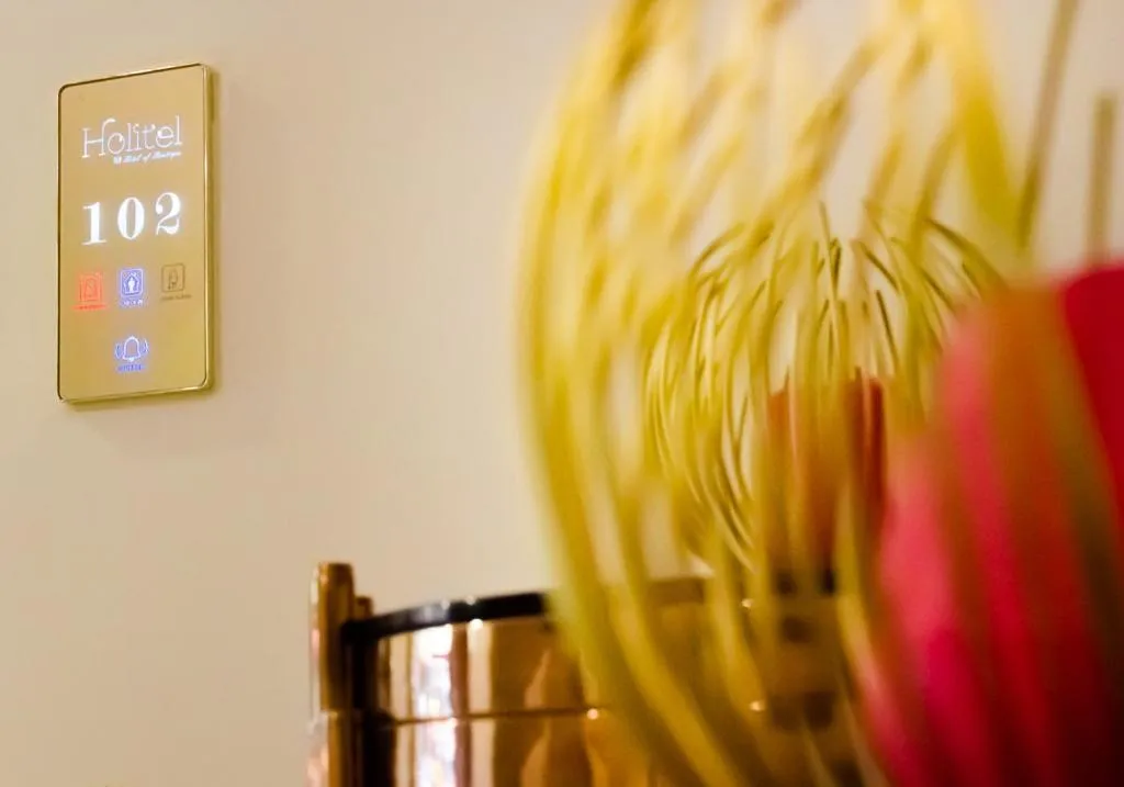 Decorative detail in Hotel Boutique Holitel