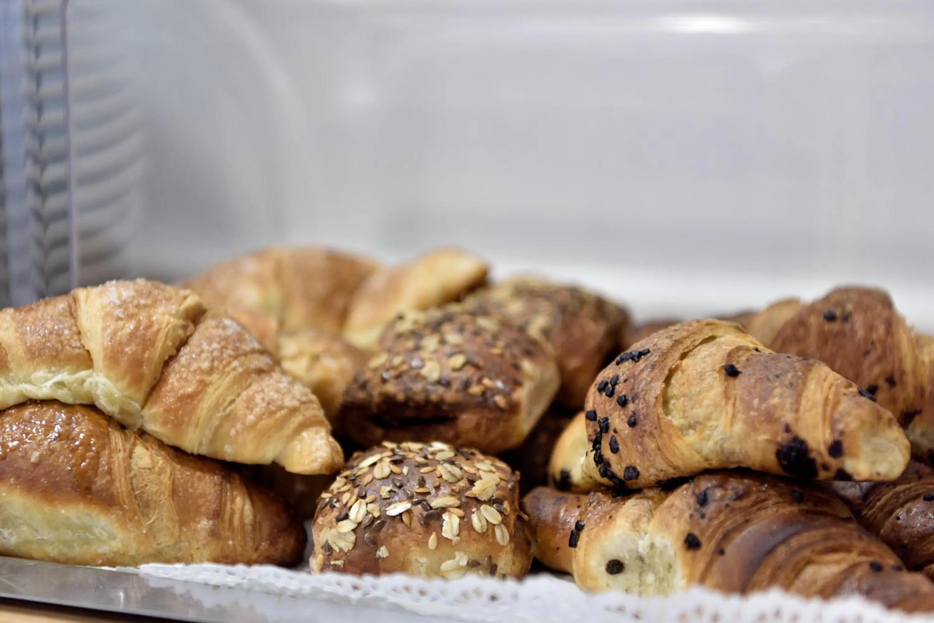 Restaurant/places to eat in Hotel Florida