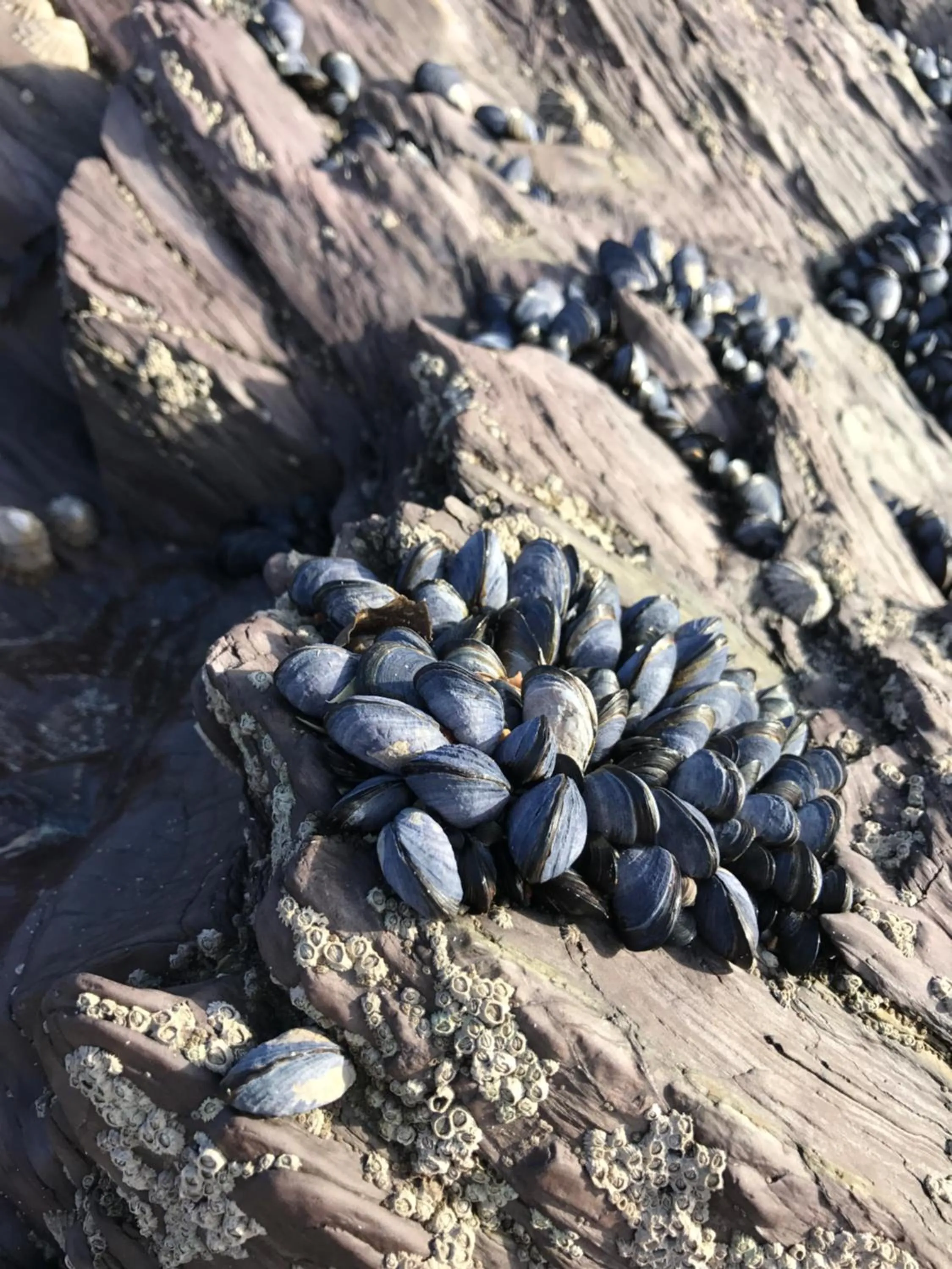 Natural landscape in The Slipway B&B