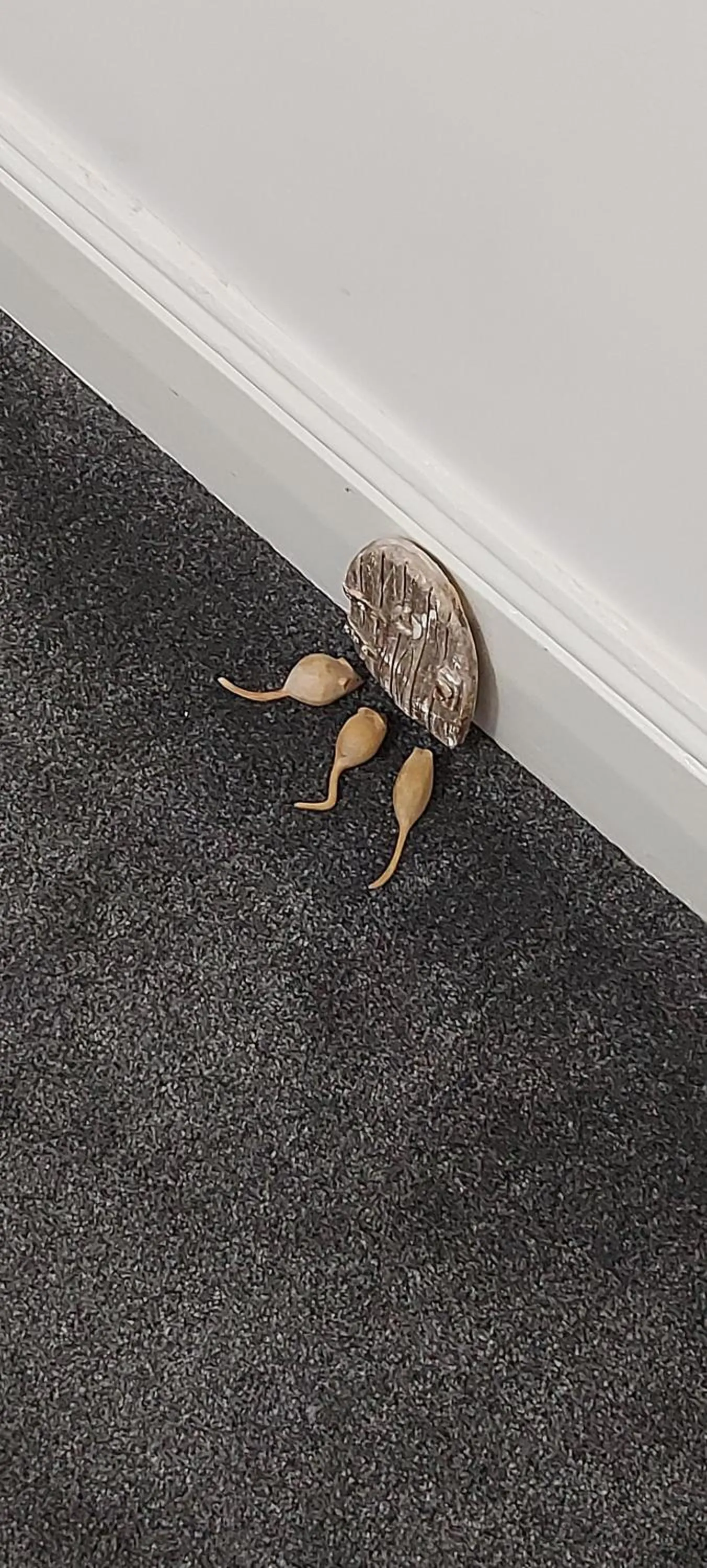 Lobby or reception in Trentham House