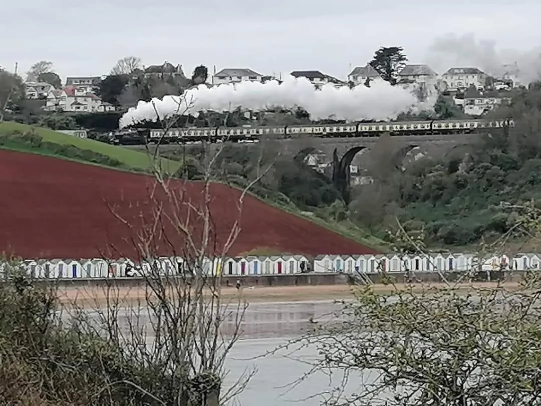 Activities in Trentham House