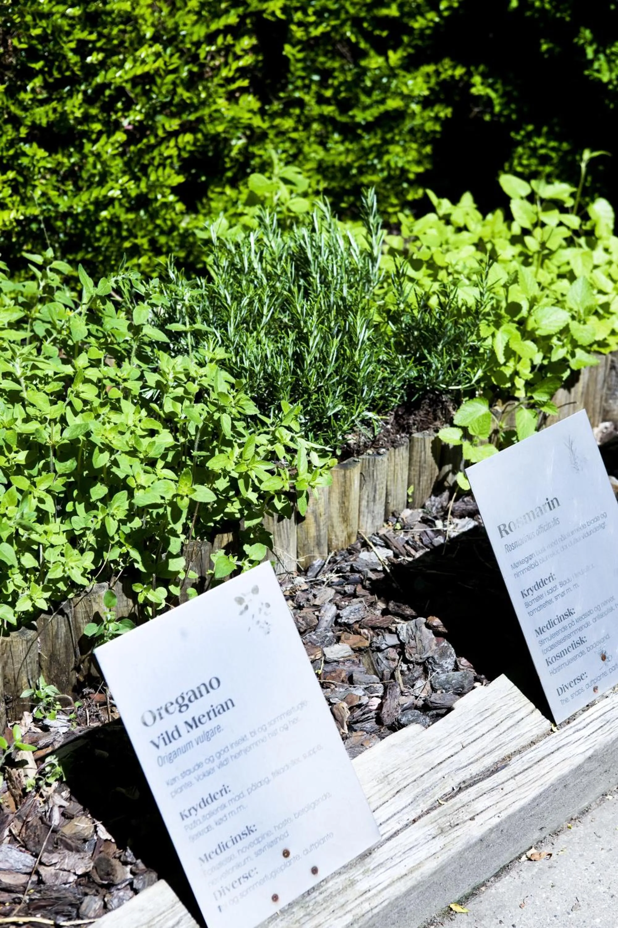 Garden in Skjalm Hvide Hotel