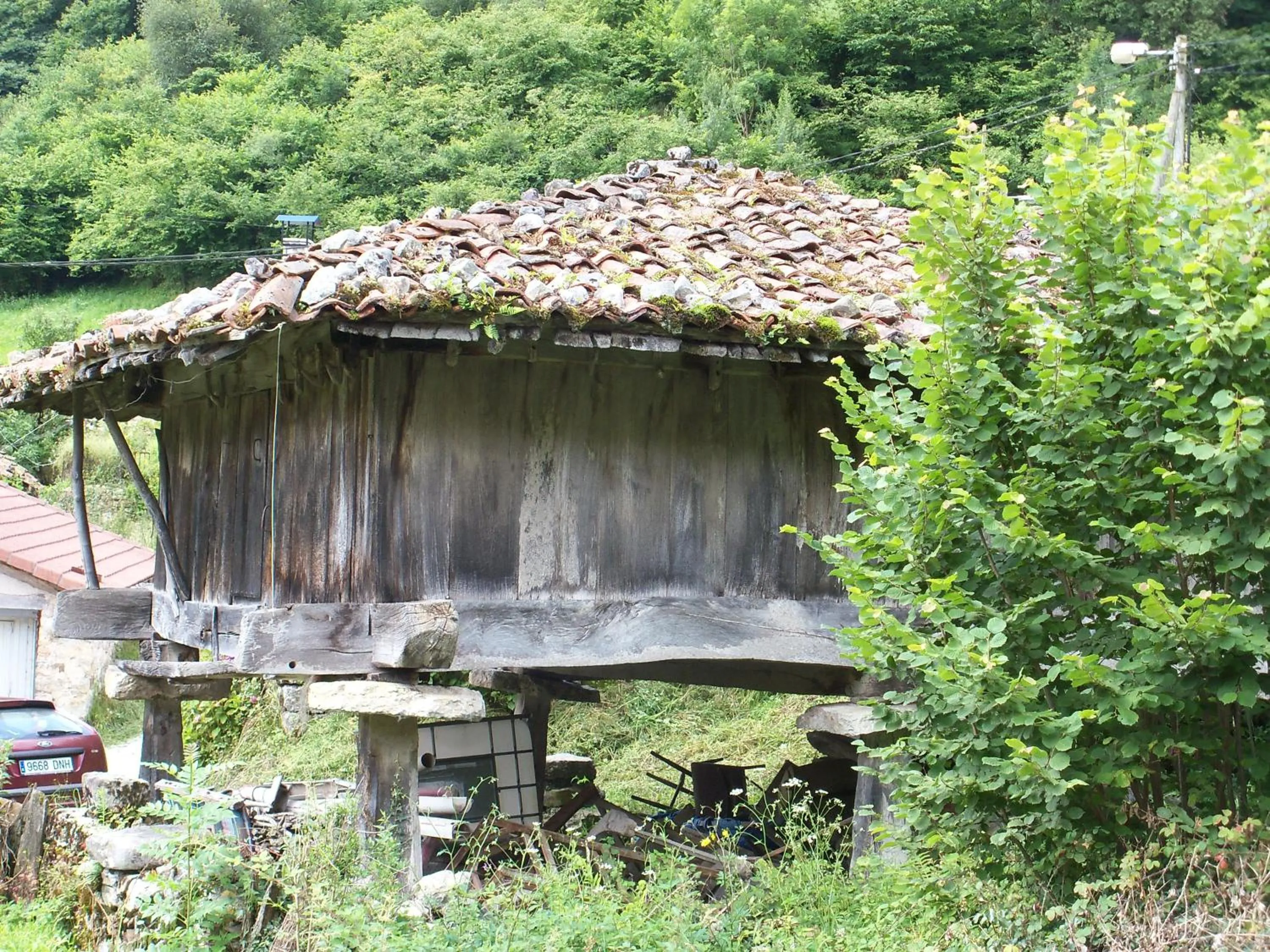 Area and facilities in Hotel Kaype - Quintamar