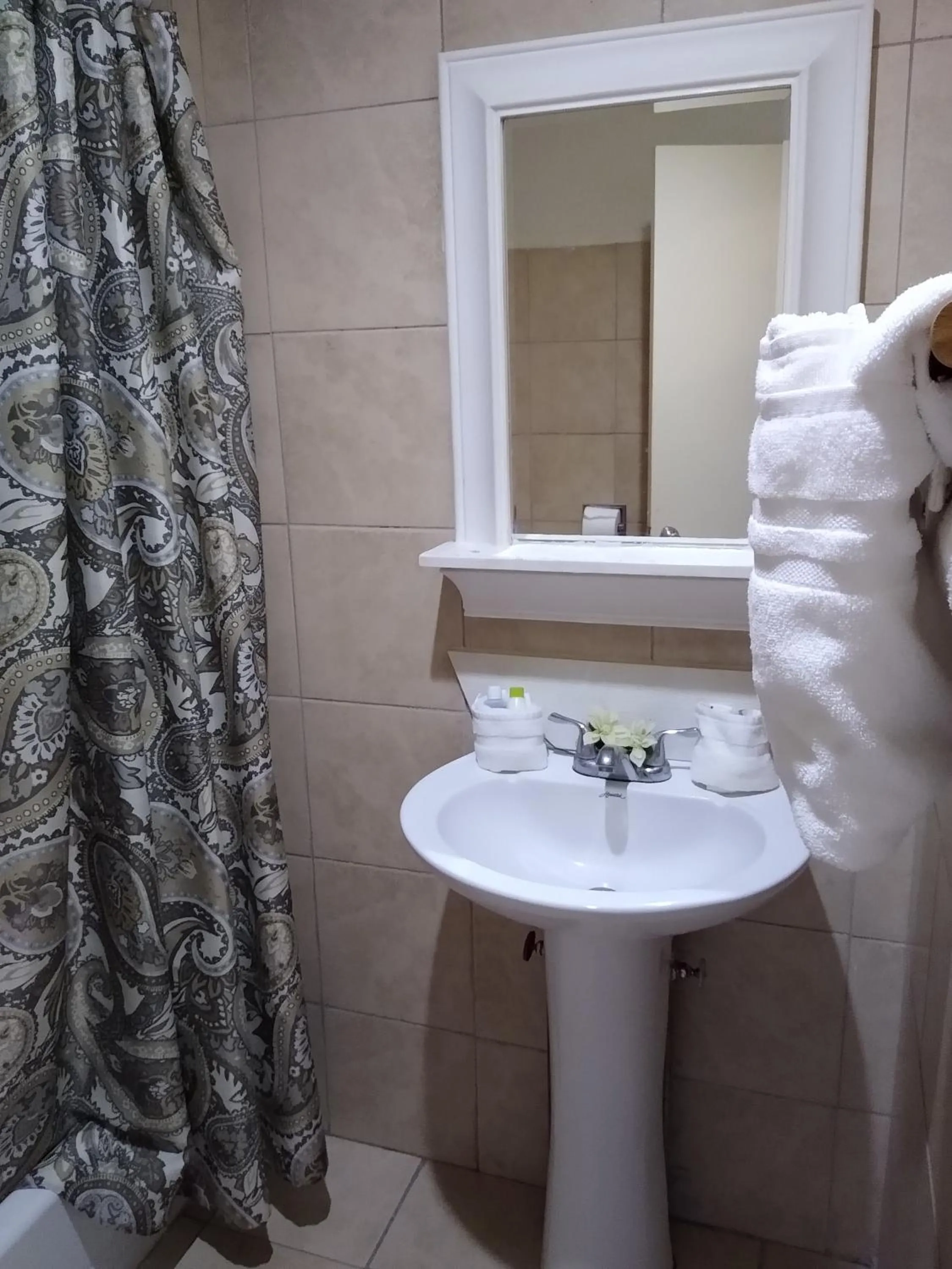 Bathroom in Clarysville Motel