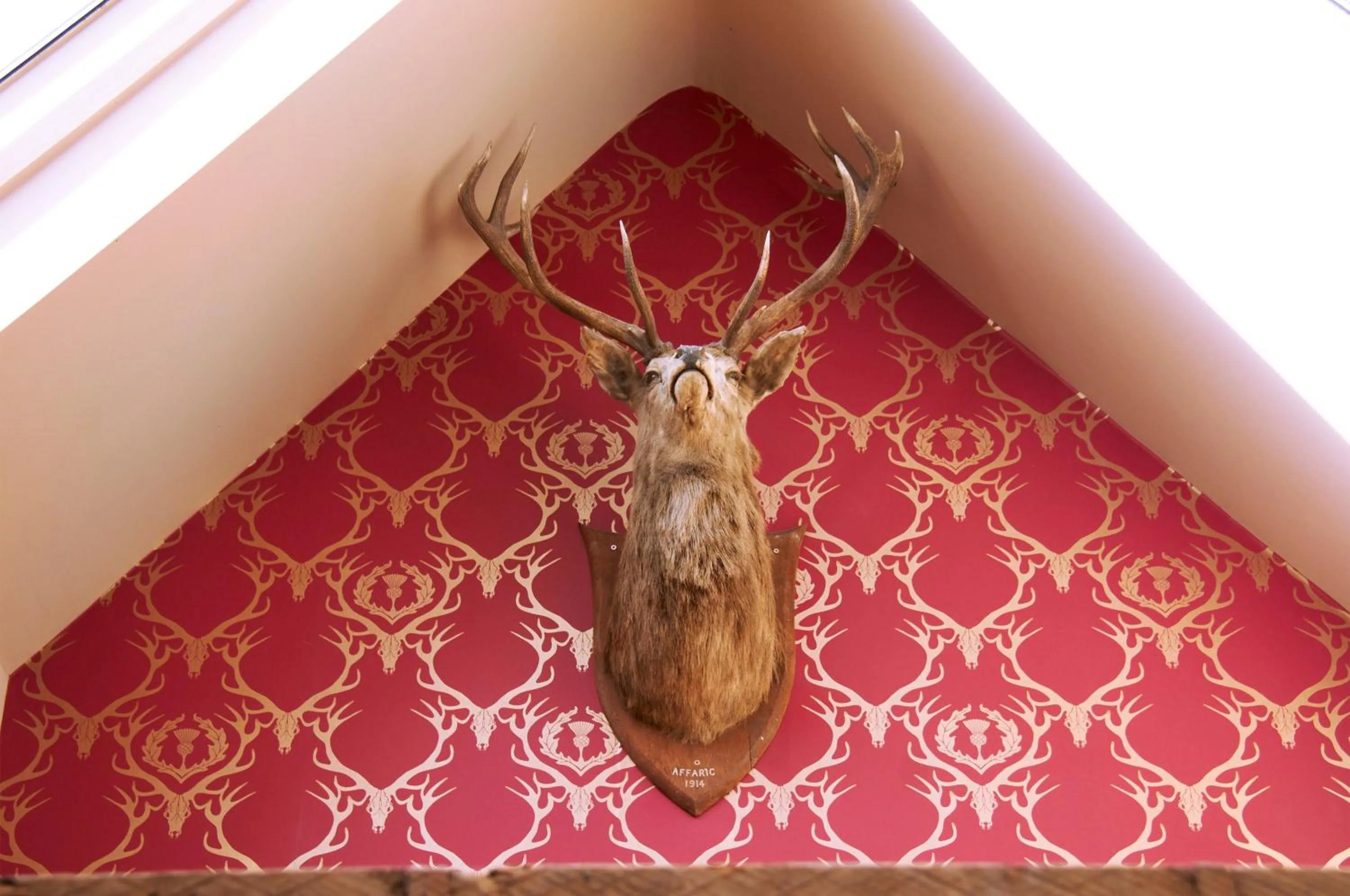 Decorative detail in The Museum Inn