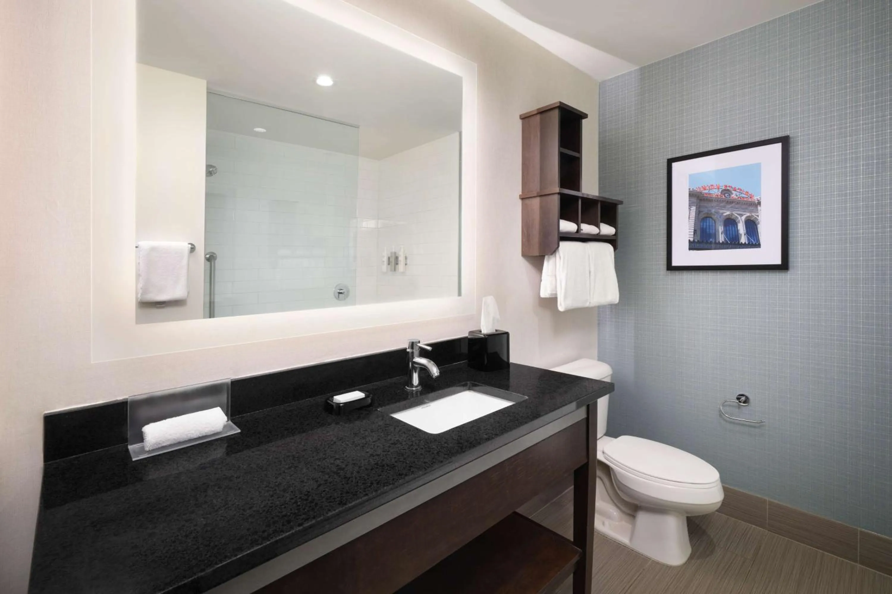 Bathroom in Hampton Inn & Suites Denver Downtown Convention Center