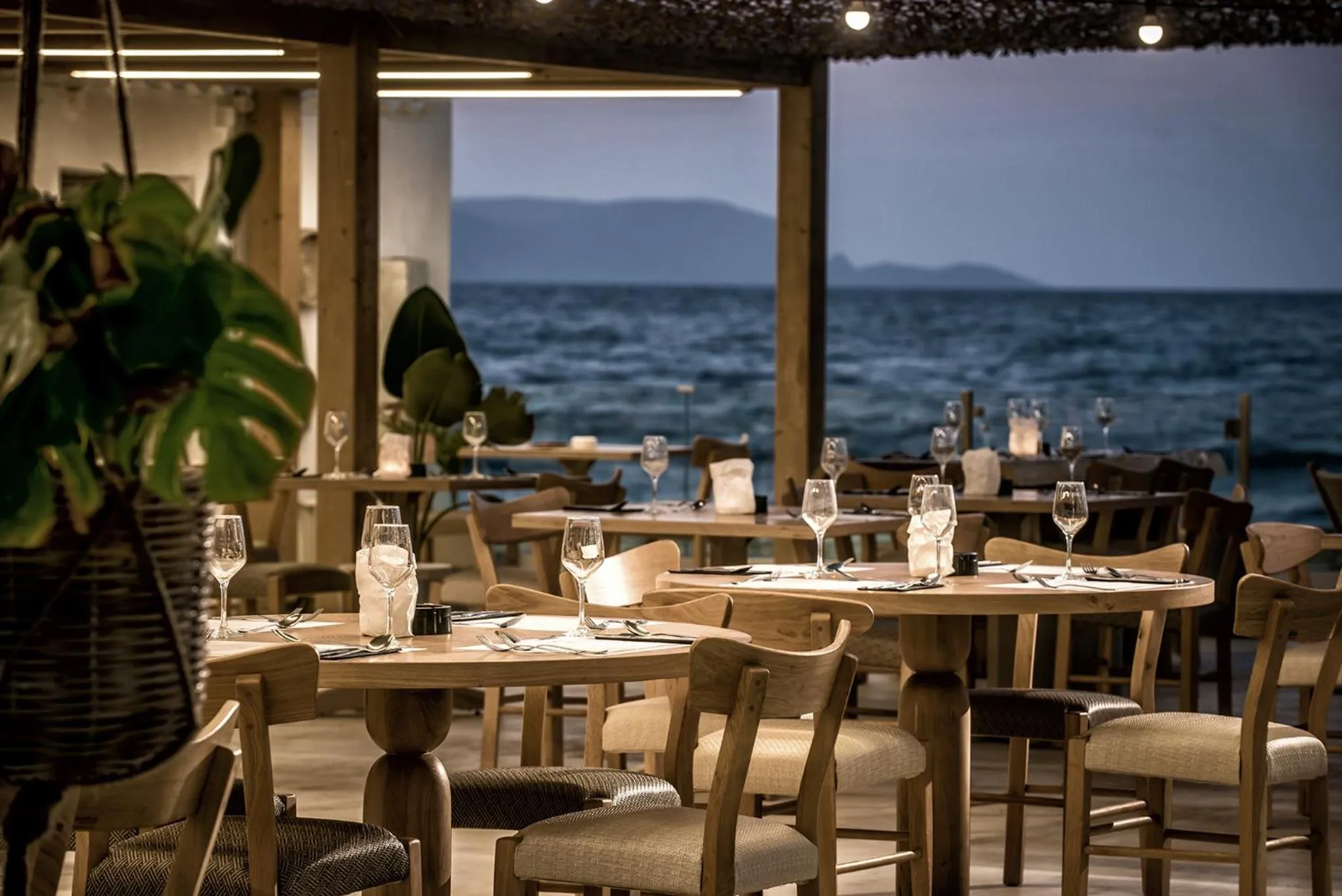 Restaurant/places to eat in Enorme Maya Beach Hotel-Adults Only