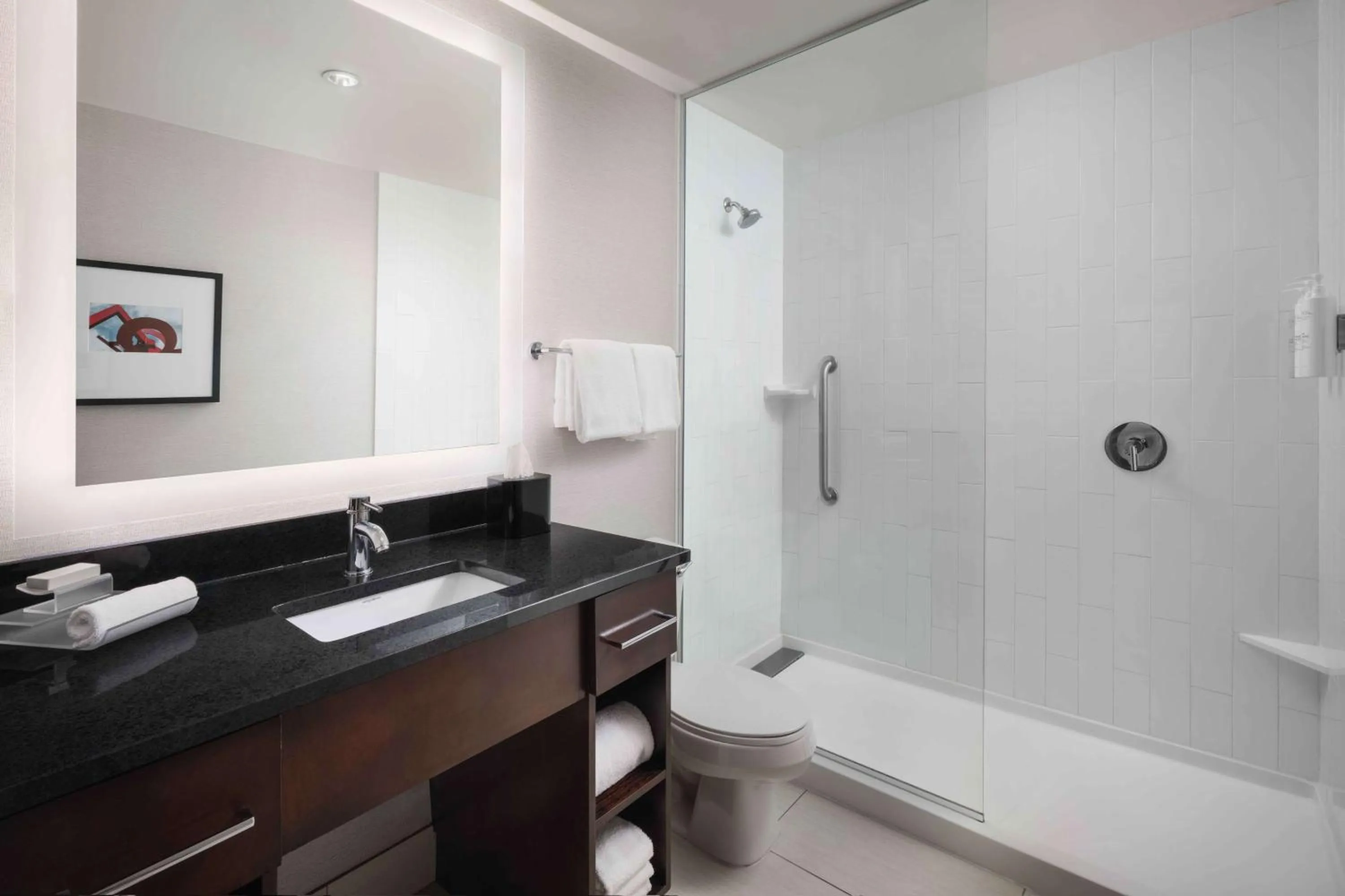 Bathroom in Homewood Suites- Denver Downtown Convention Center