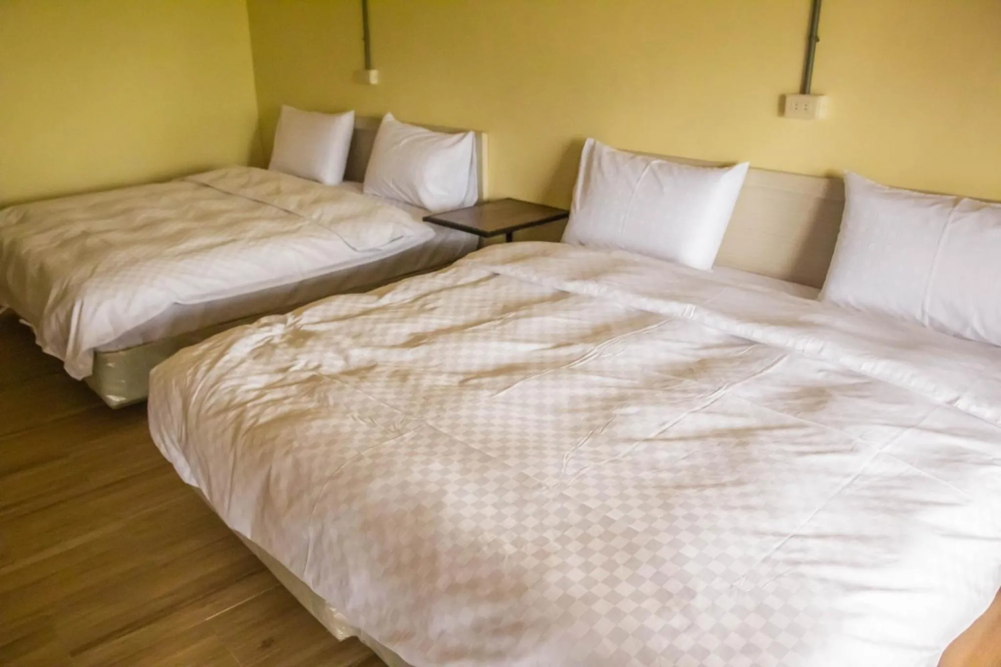 Photo of the whole room, Bed in 鄉村民宿&庭園民宿