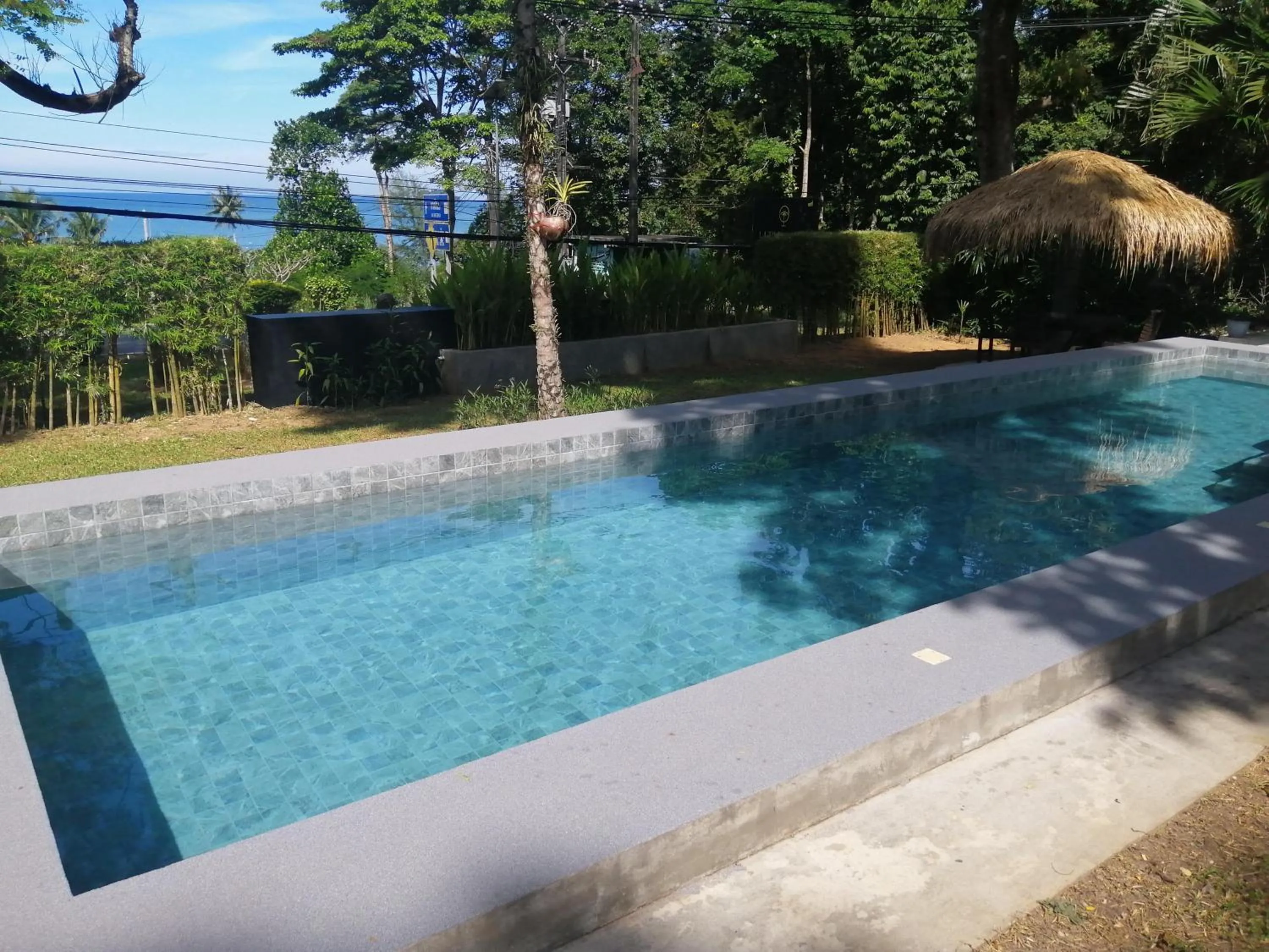 Swimming pool in Lazy Republique