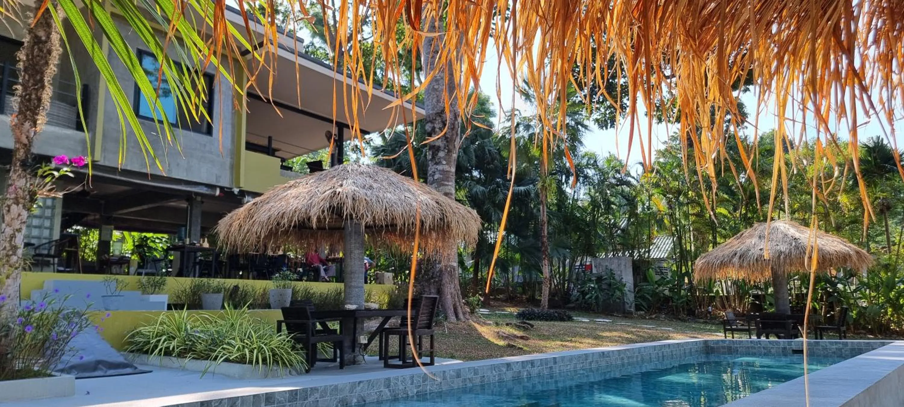 Swimming pool in Lazy Republique