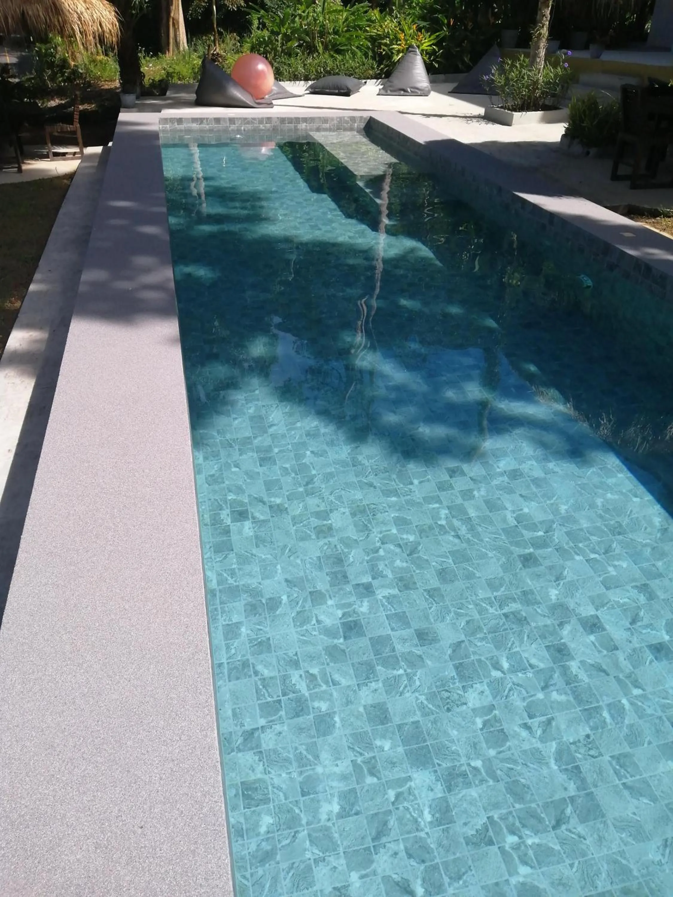 Swimming pool in Lazy Republique