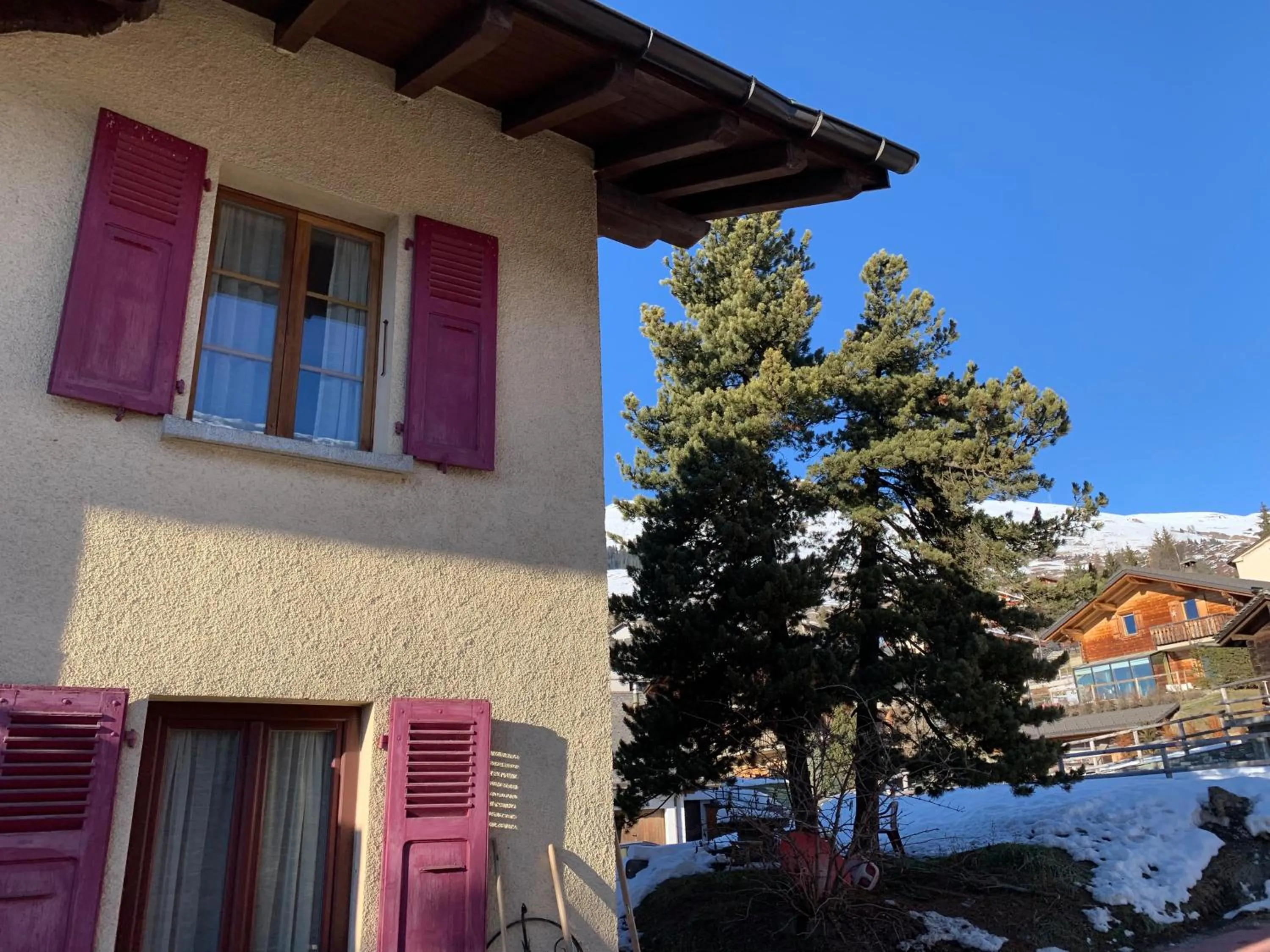 Garden in Hotel les Touristes