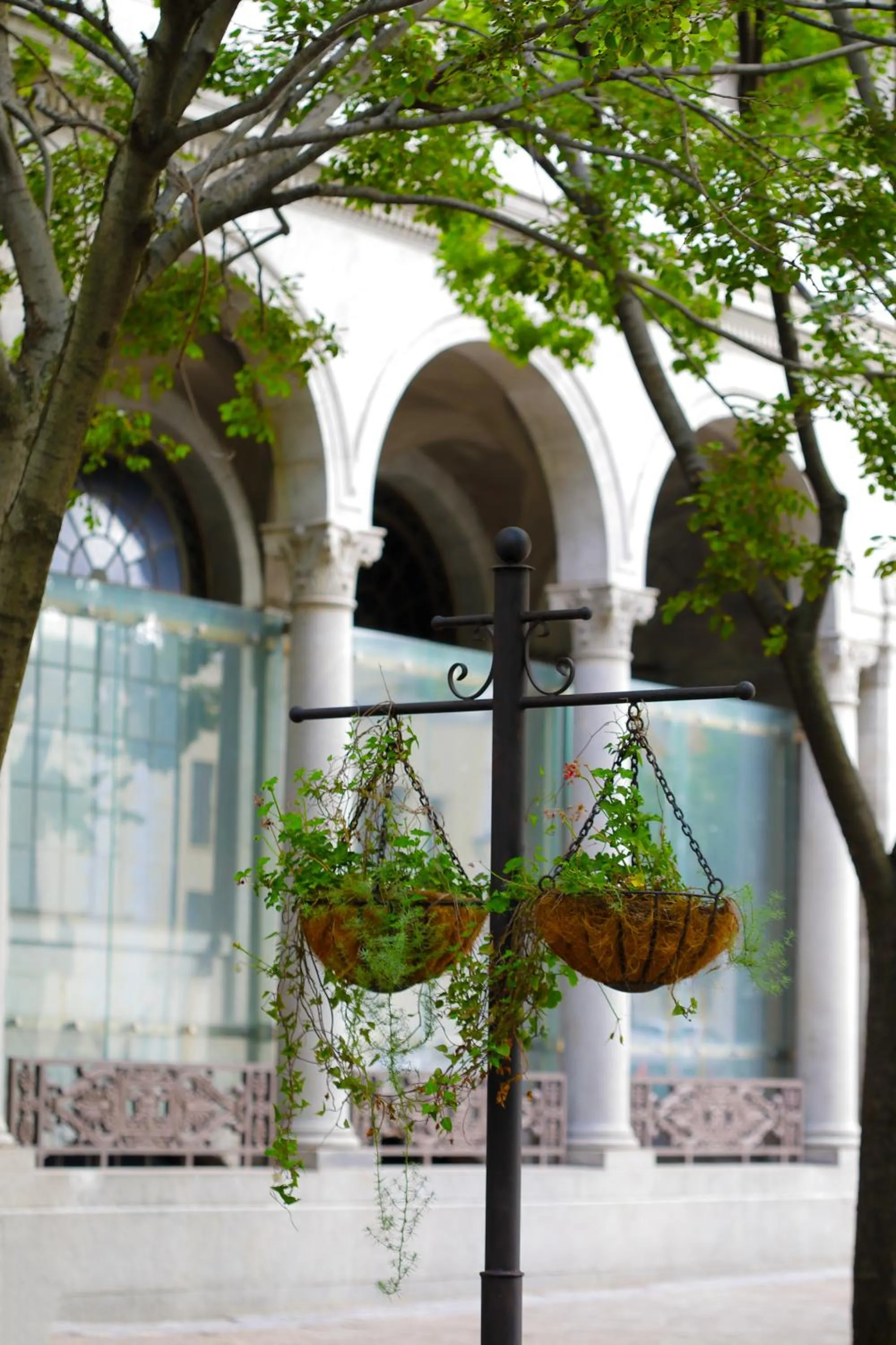 Garden view in Labotessa Luxury Boutique Hotel