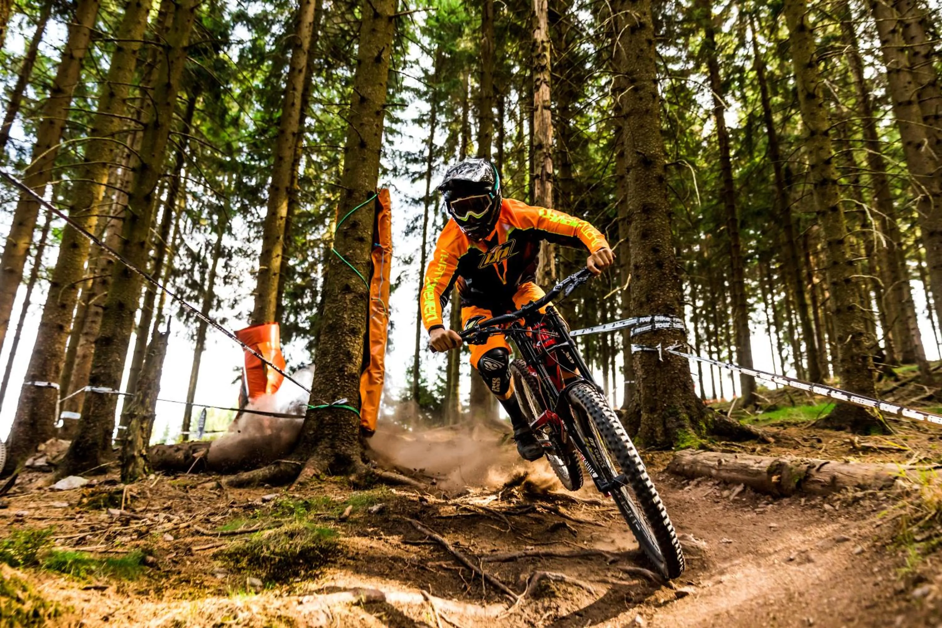 Cycling in Villa Silva - Oberhof