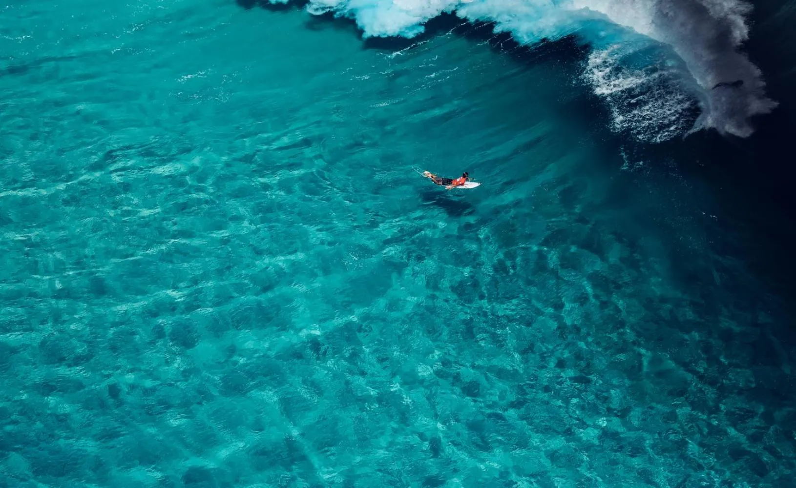 Activities in Kirra Surf Apartments