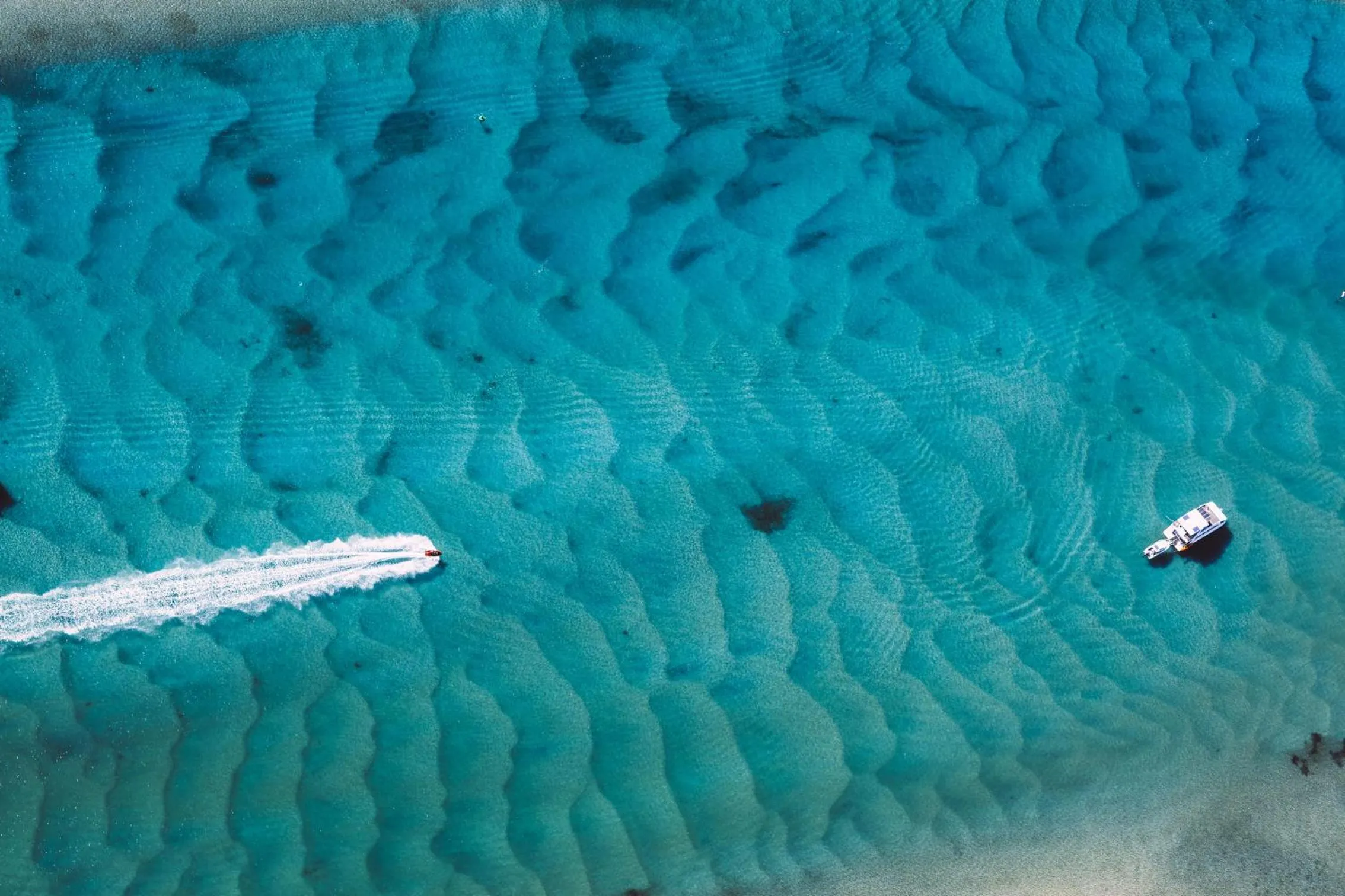 Sea view in Kirra Surf Apartments