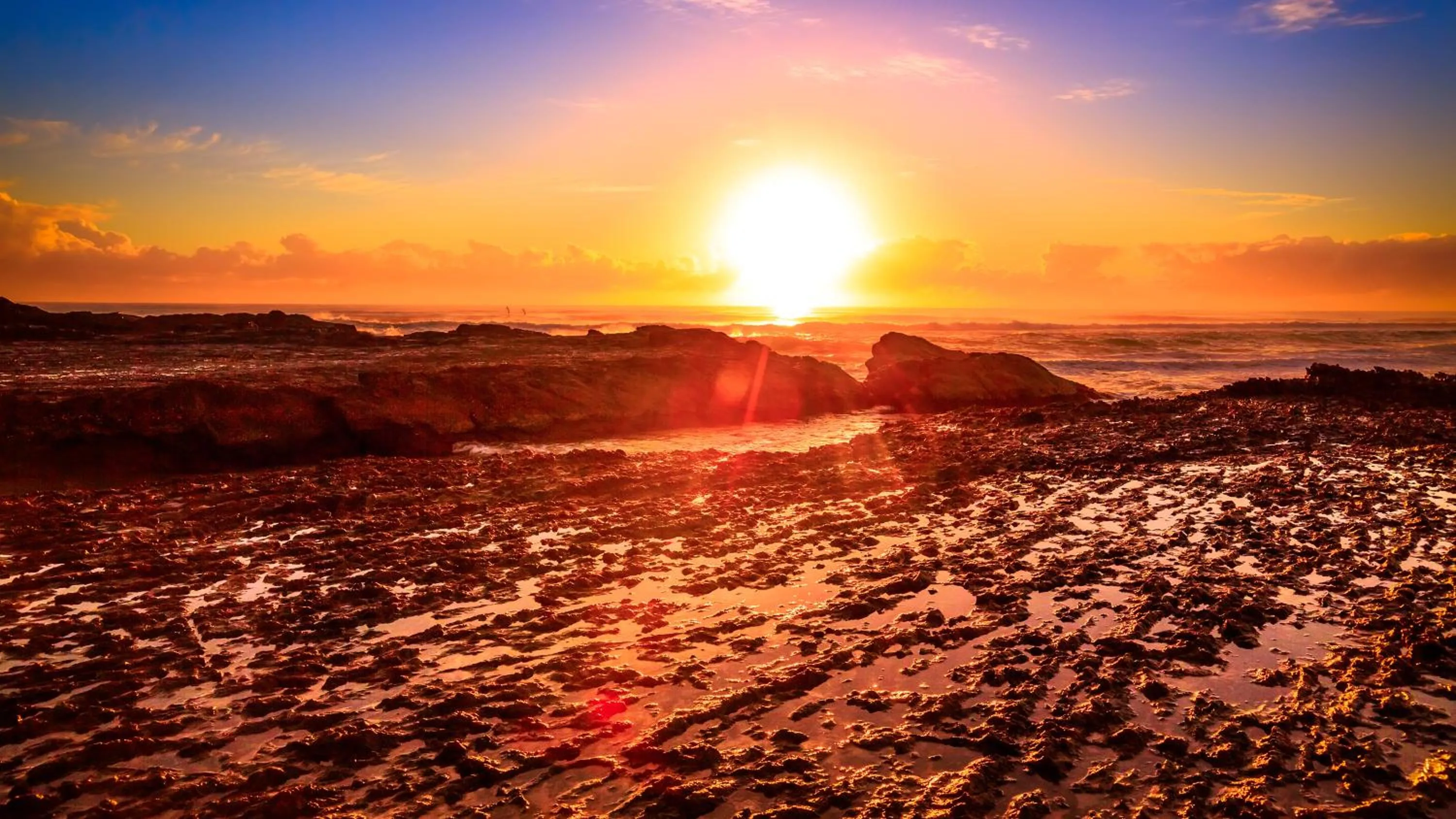 Natural landscape in Kirra Surf Apartments