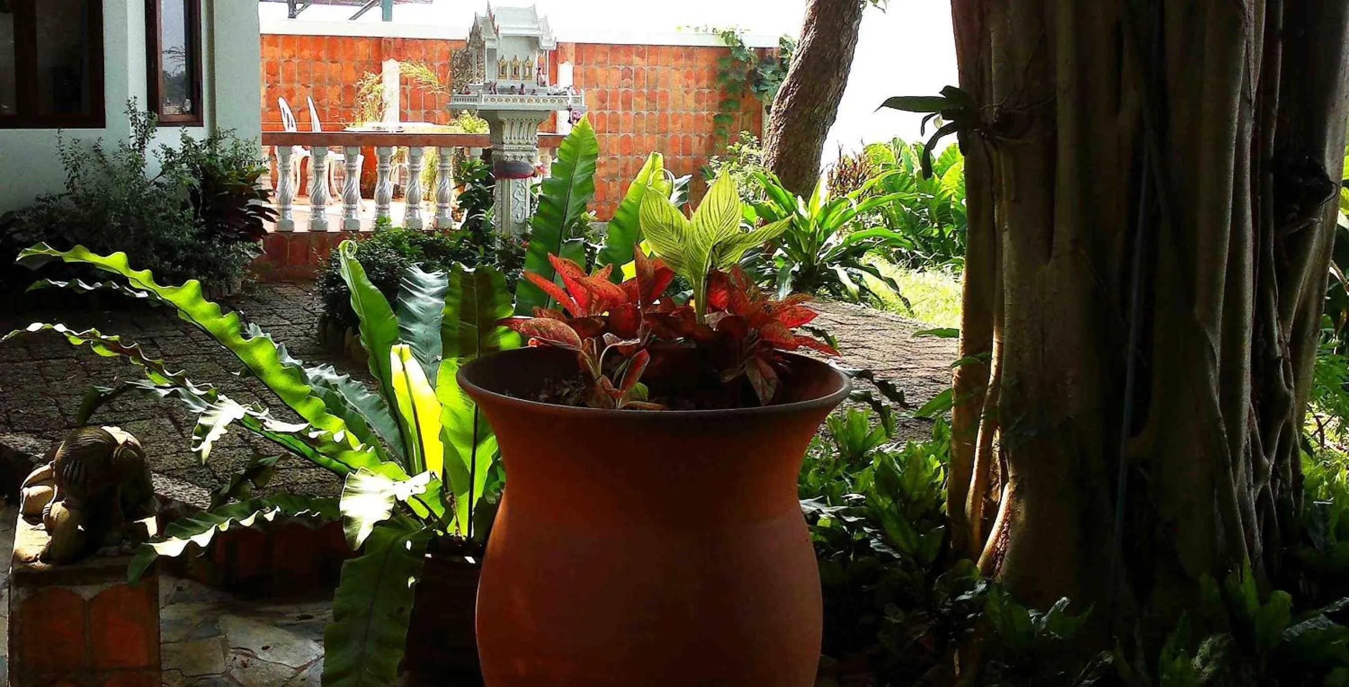 Area and facilities in Mut Mee Garden Guest House