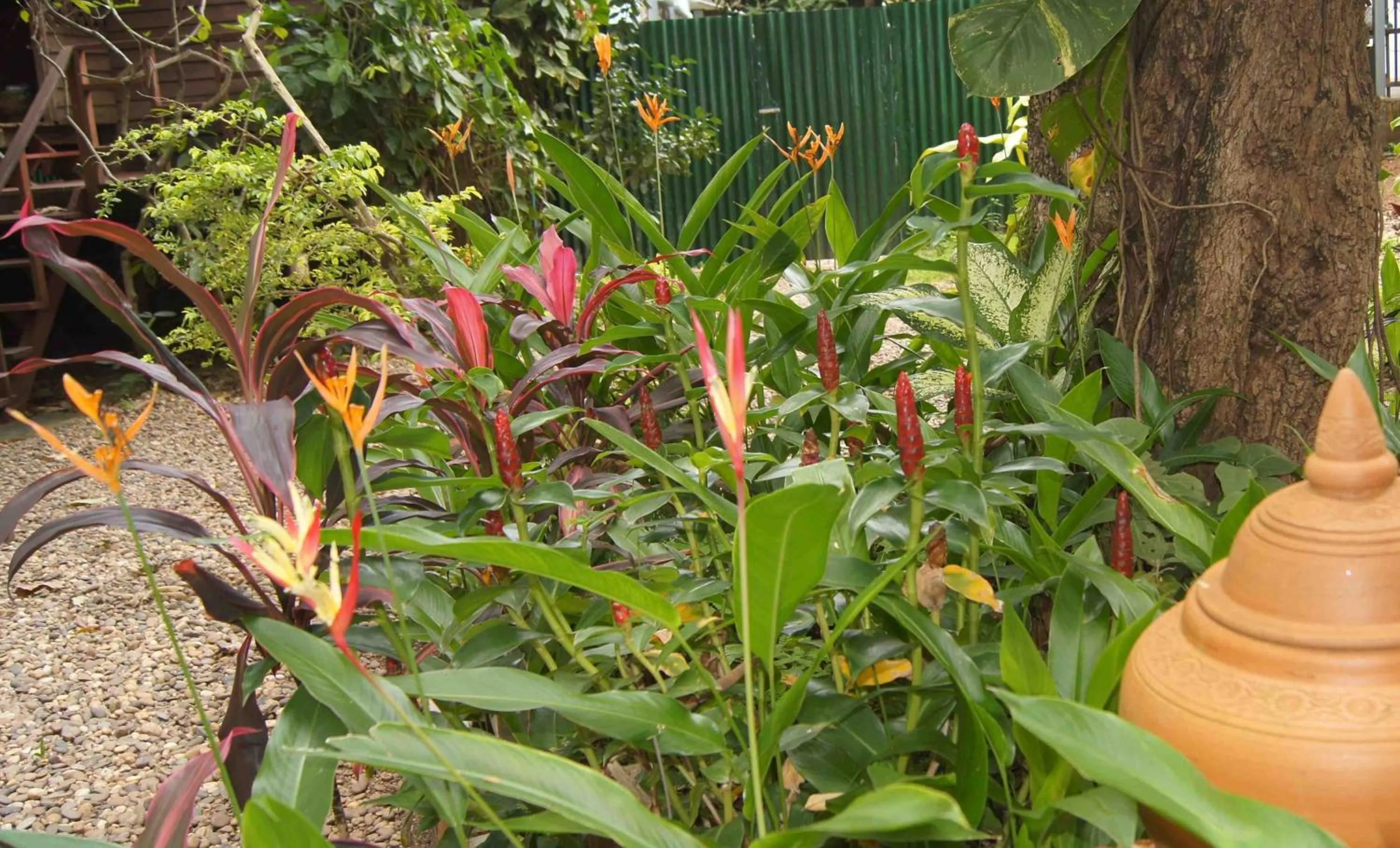 Garden in Mut Mee Garden Guest House