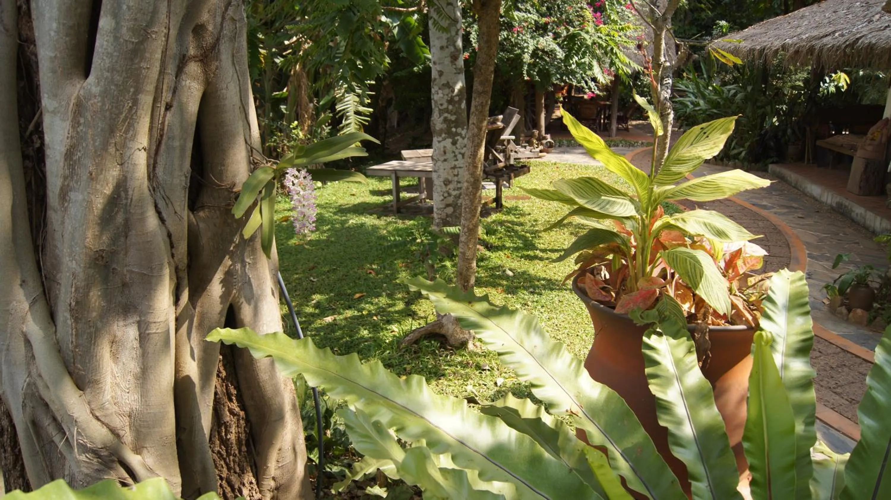 Garden in Mut Mee Garden Guest House
