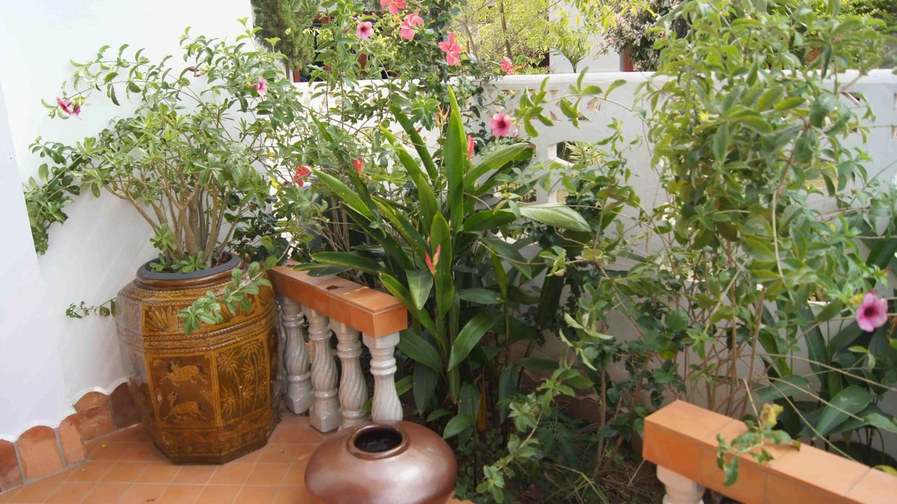 Garden in Mut Mee Garden Guest House