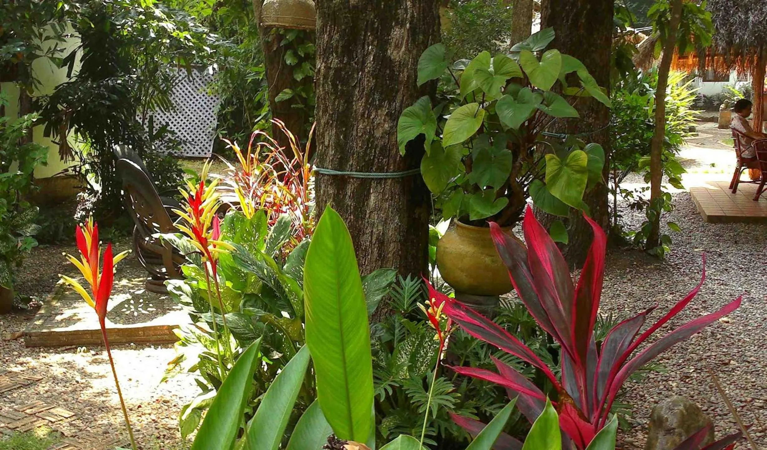 Natural landscape in Mut Mee Garden Guest House