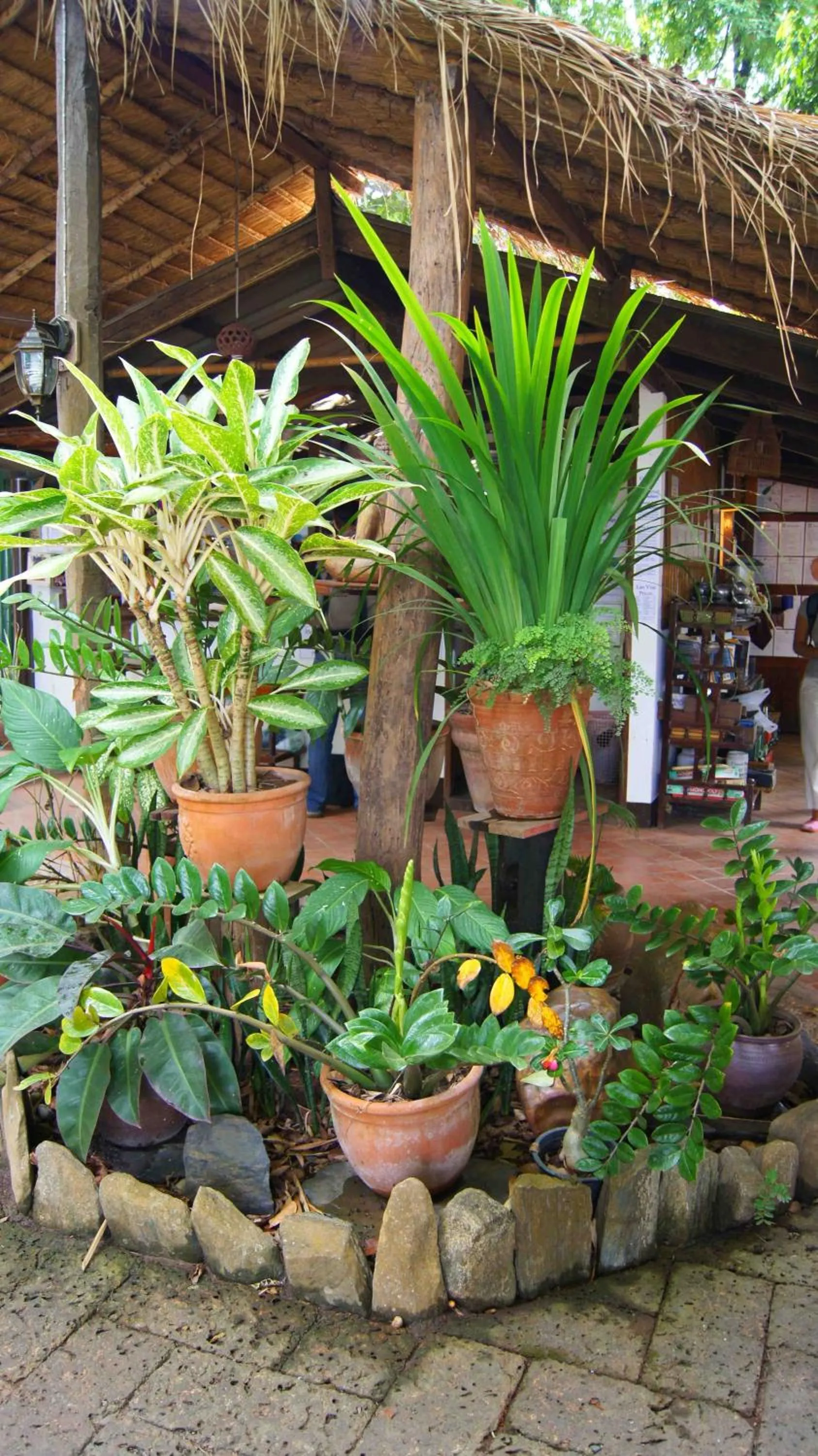 Garden in Mut Mee Garden Guest House