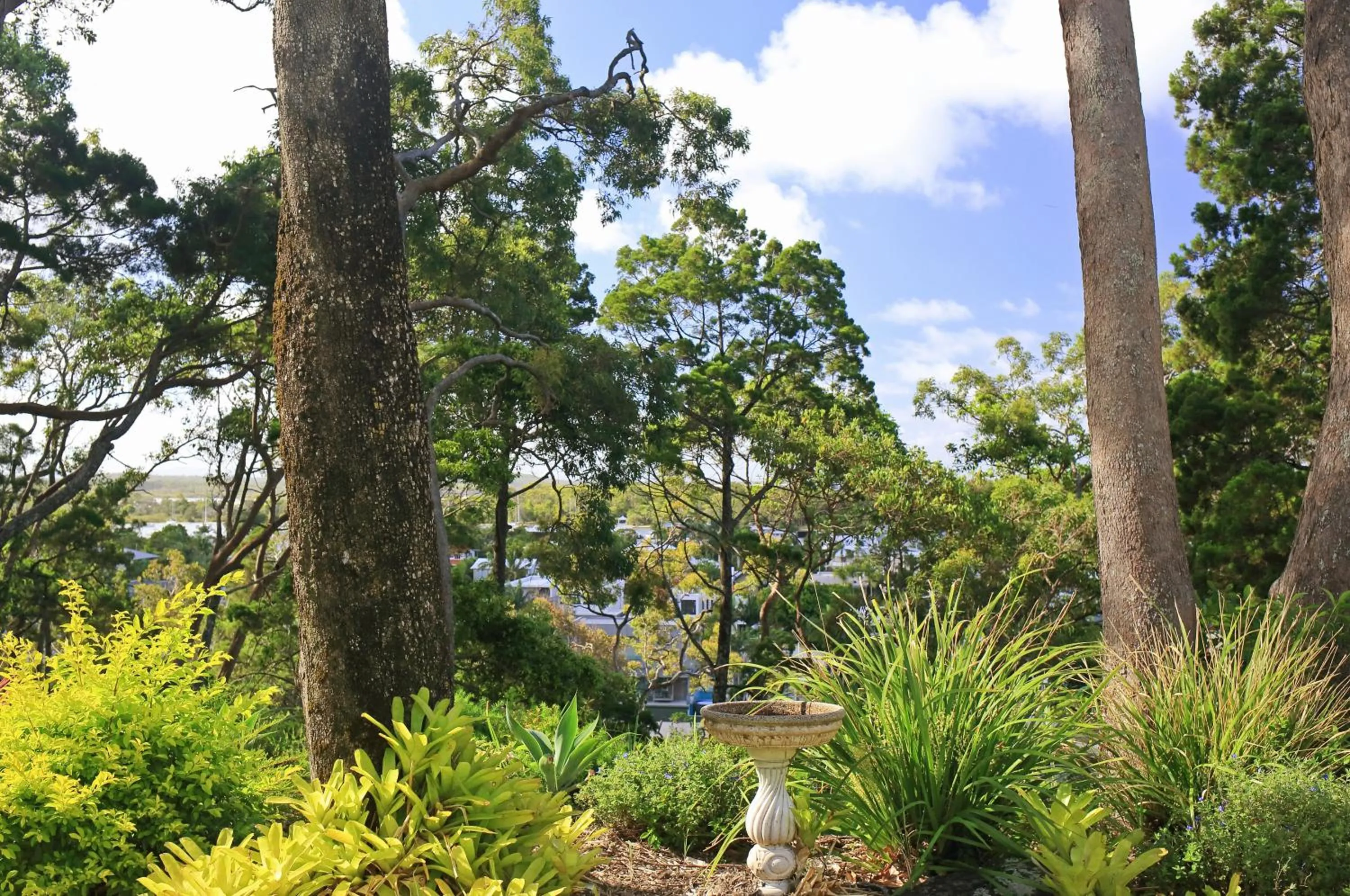 Garden in Serenity Apartments Noosa