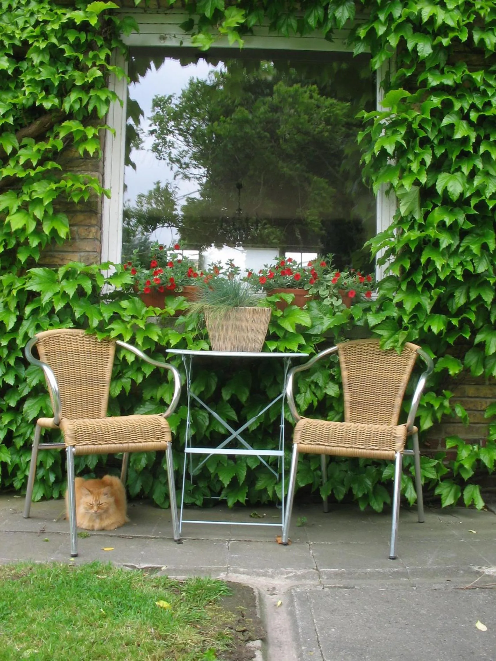 Balcony/Terrace in B&B Villa Vanilla