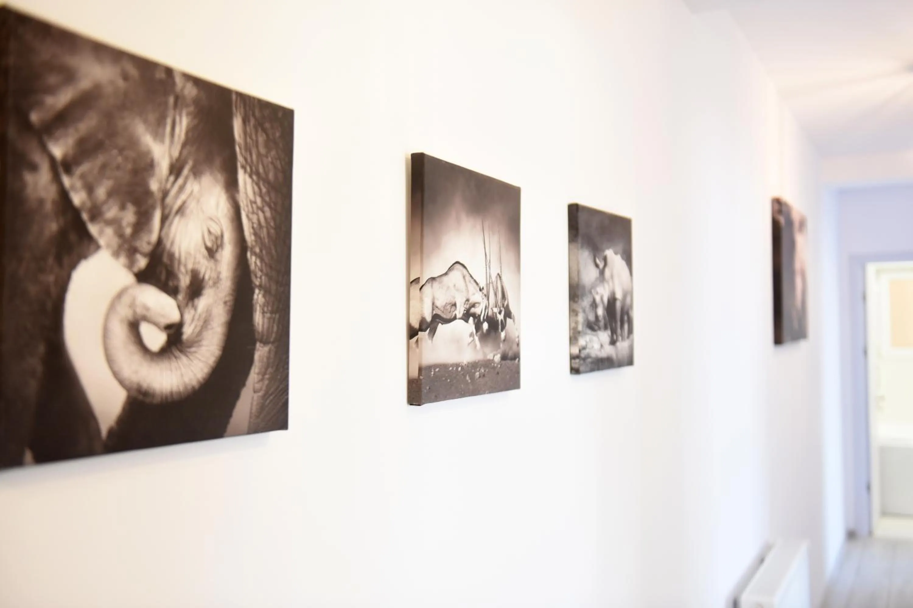 Decorative detail in Best Apartment Suceava