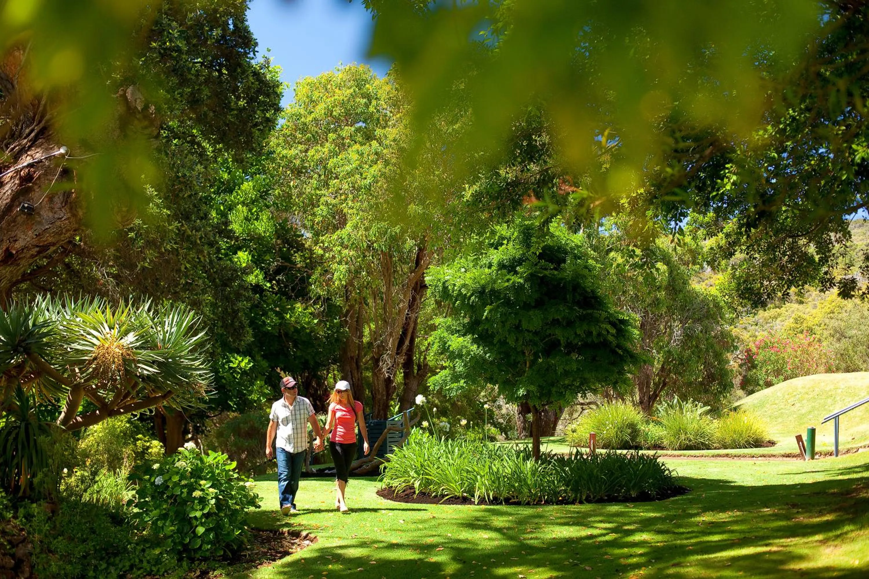 Garden in Seashells Yallingup