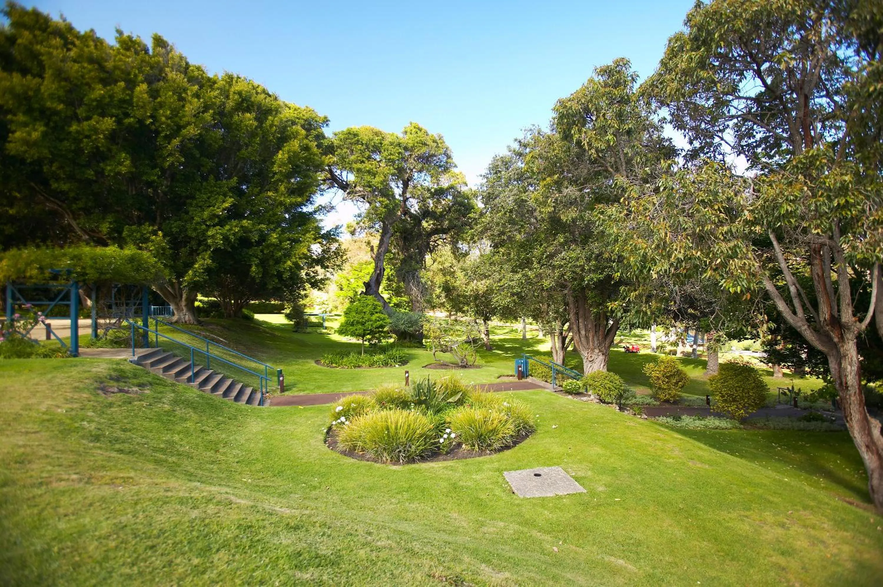 Garden in Seashells Yallingup